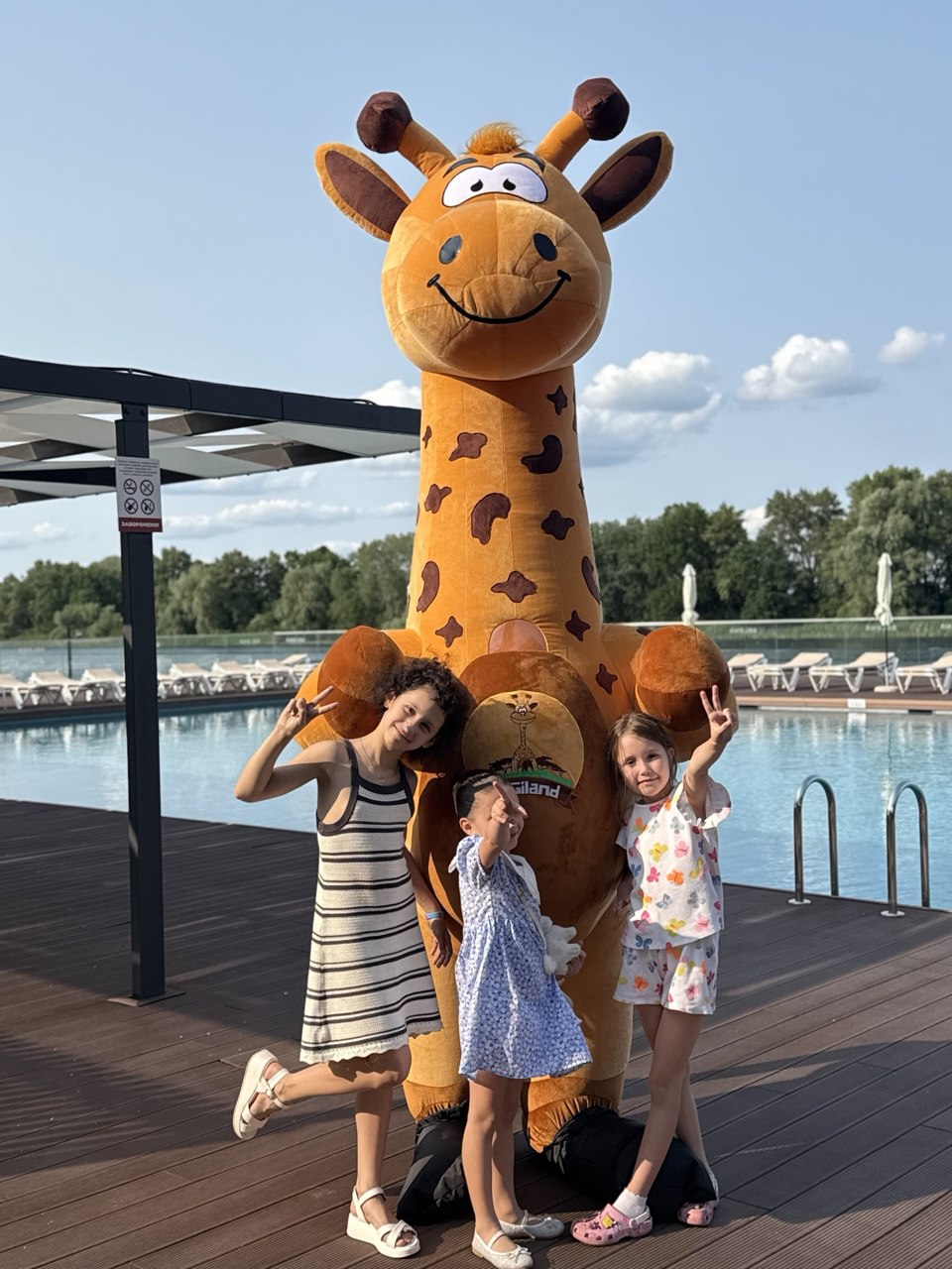 Inflatable Giraffe Mascot