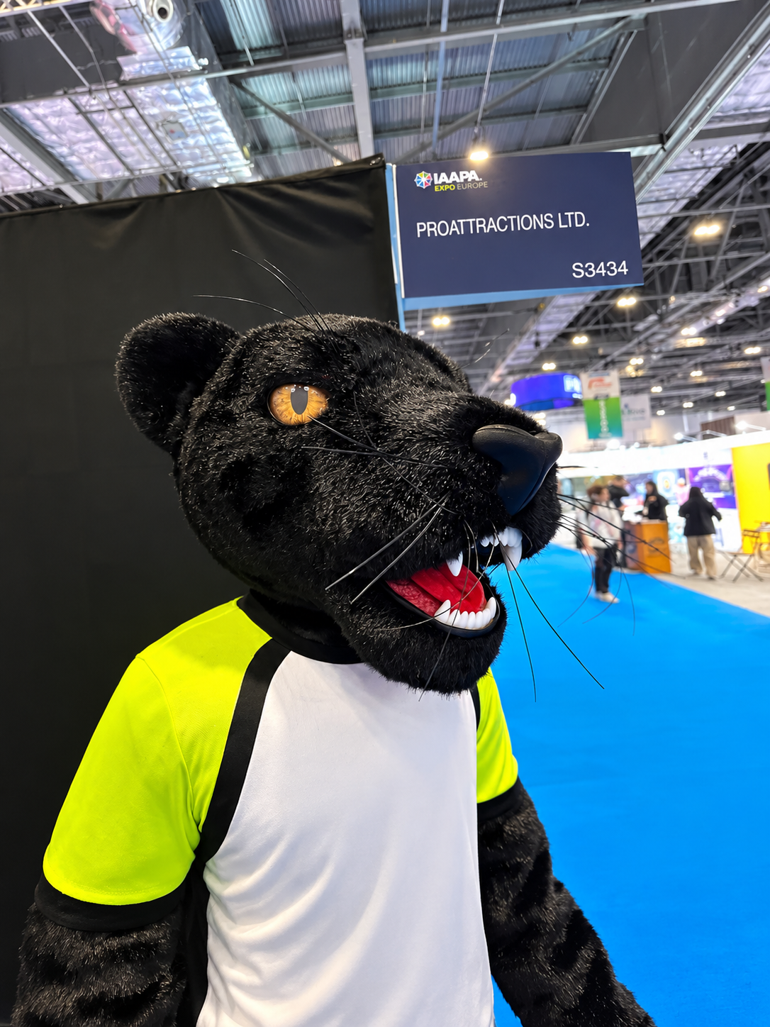 Black Panther Professional Mascot