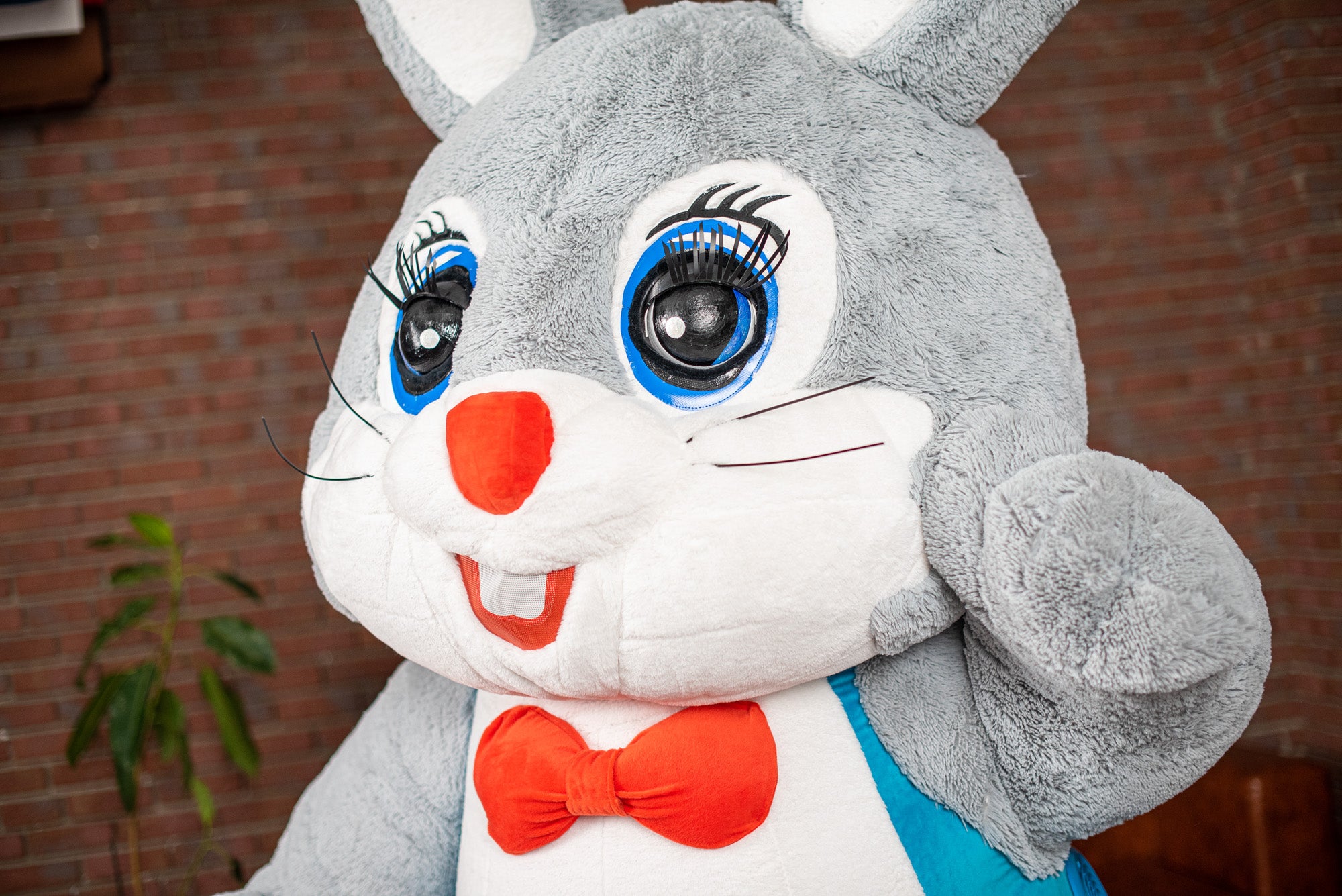 Inflatable Mr. Rabbit Mascot Costume