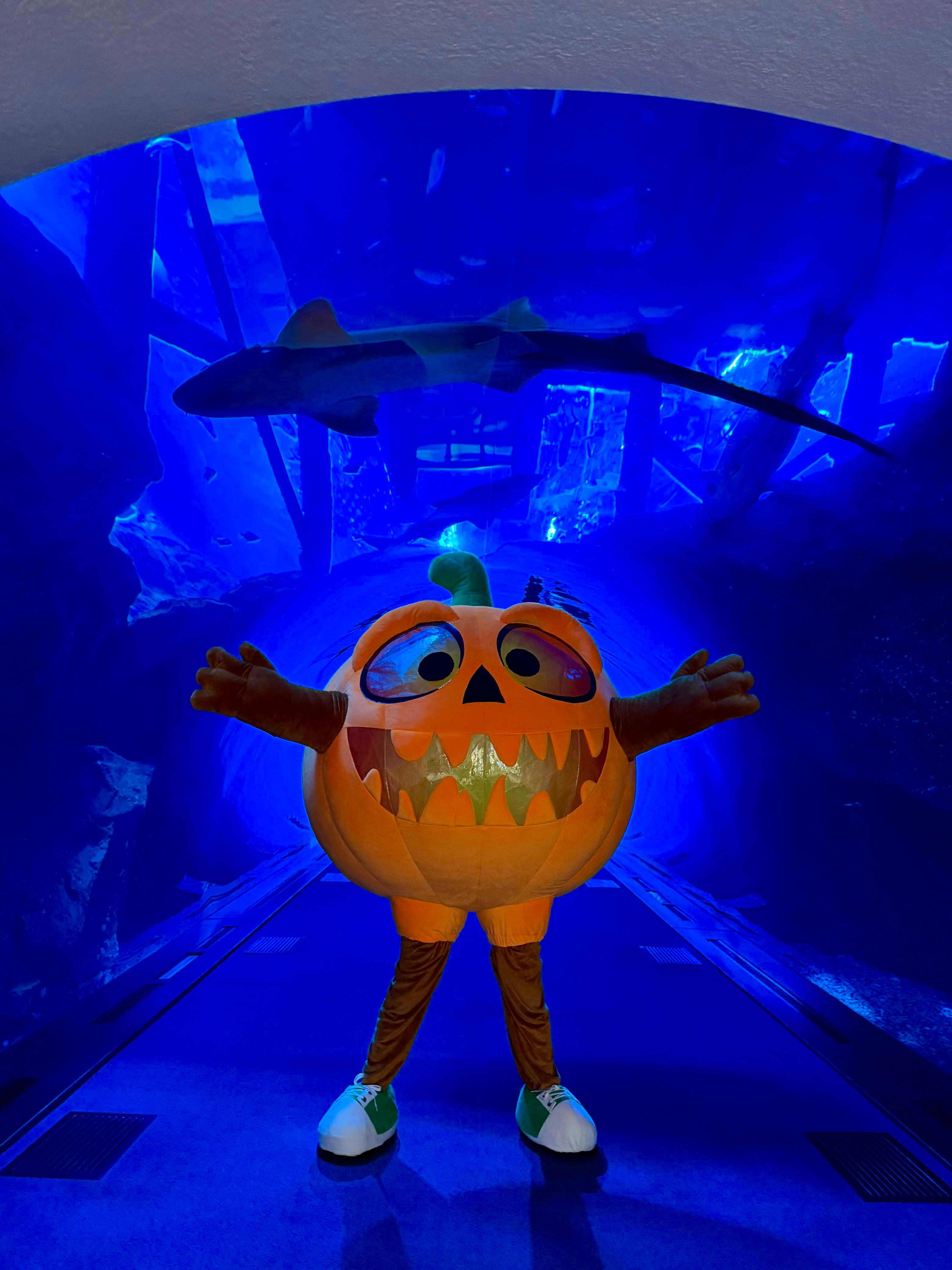Inflatable Halloween Pumpkin Mascot