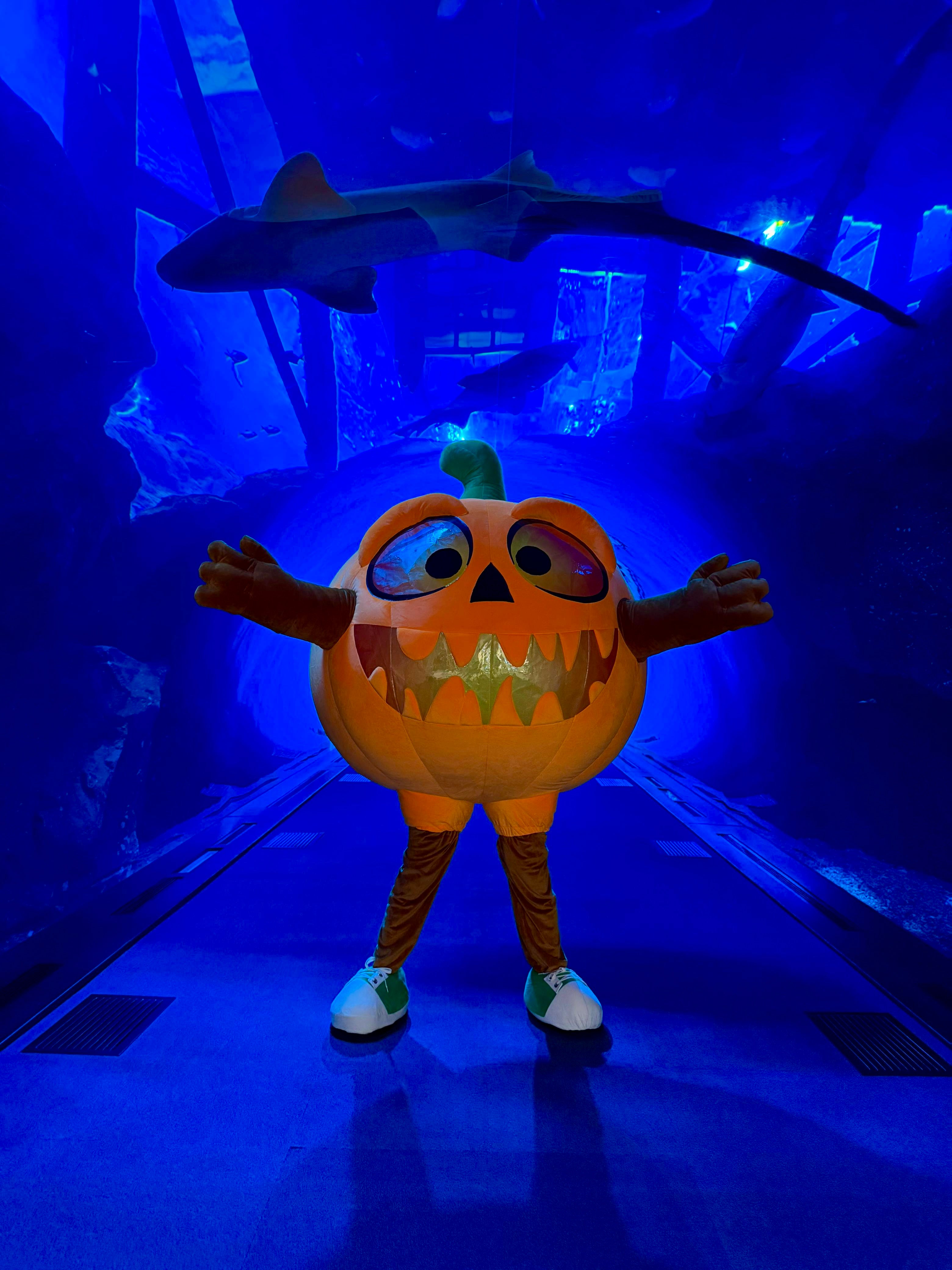 Inflatable Halloween Pumpkin Mascot