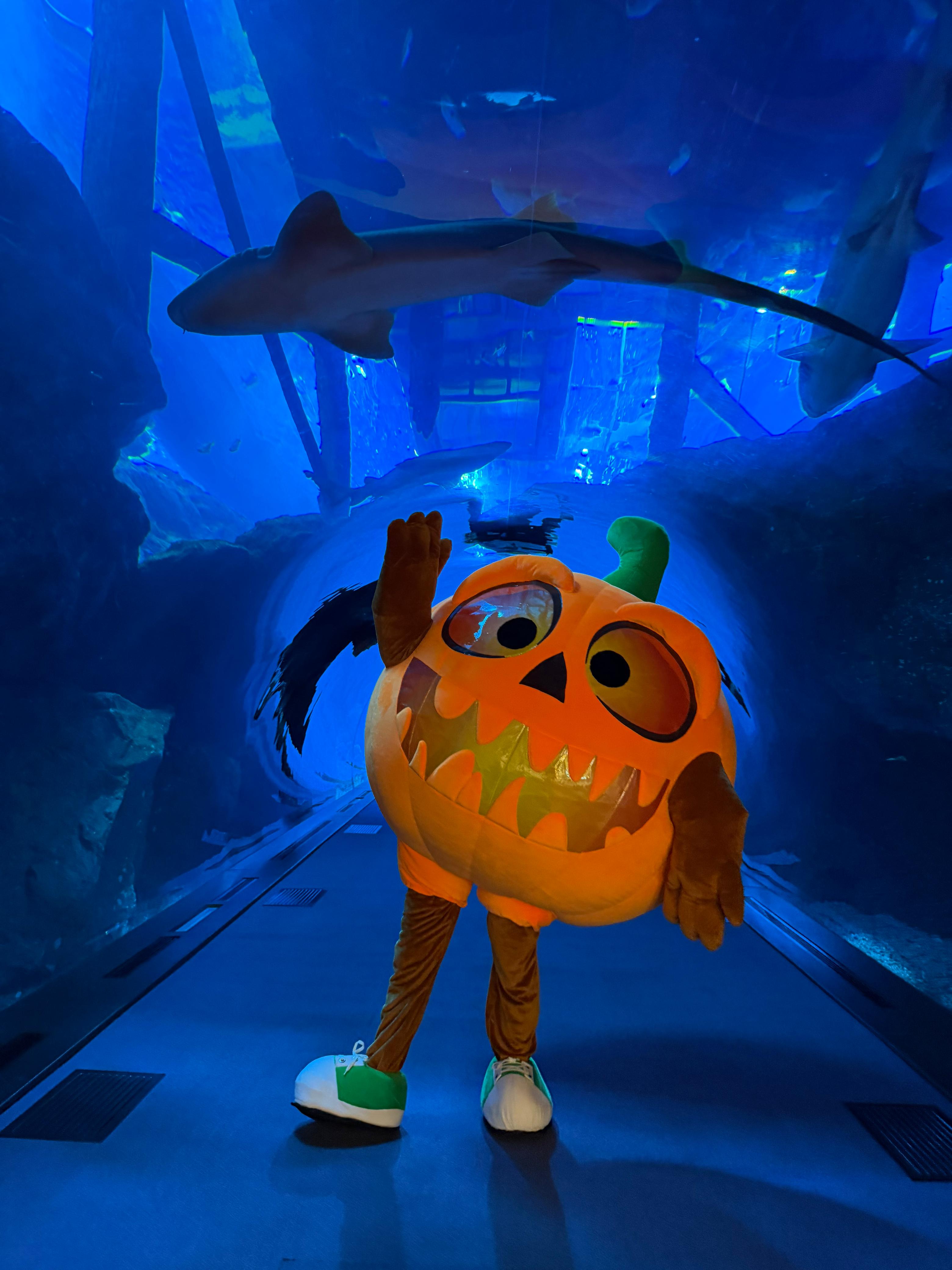 Inflatable Halloween Pumpkin Mascot