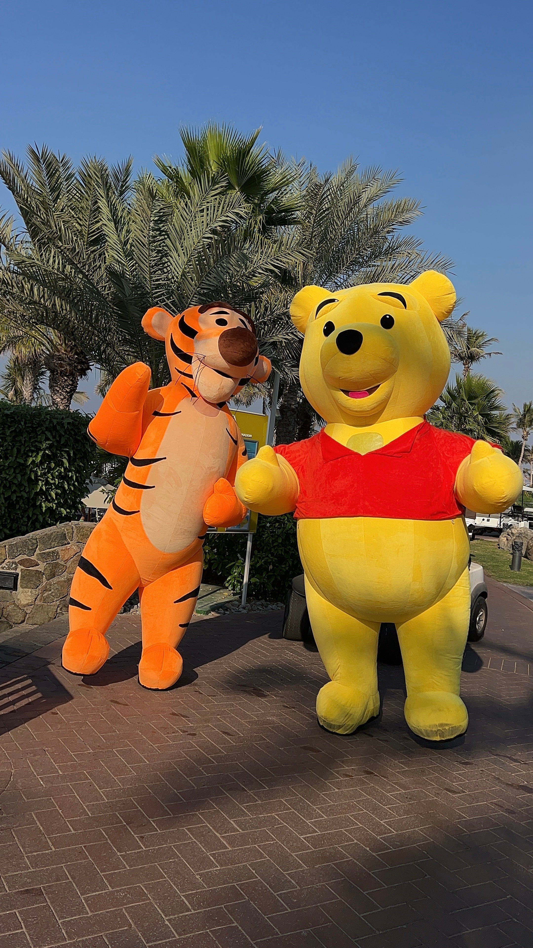 Inflatable Animal Tiger Mascot