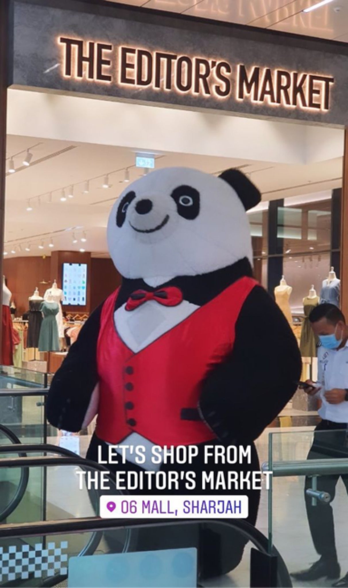 Inflatable Panda Mascot