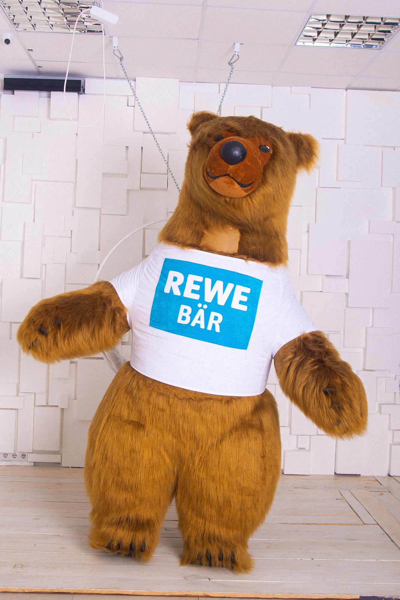Inflatable Brown Bear Mascot