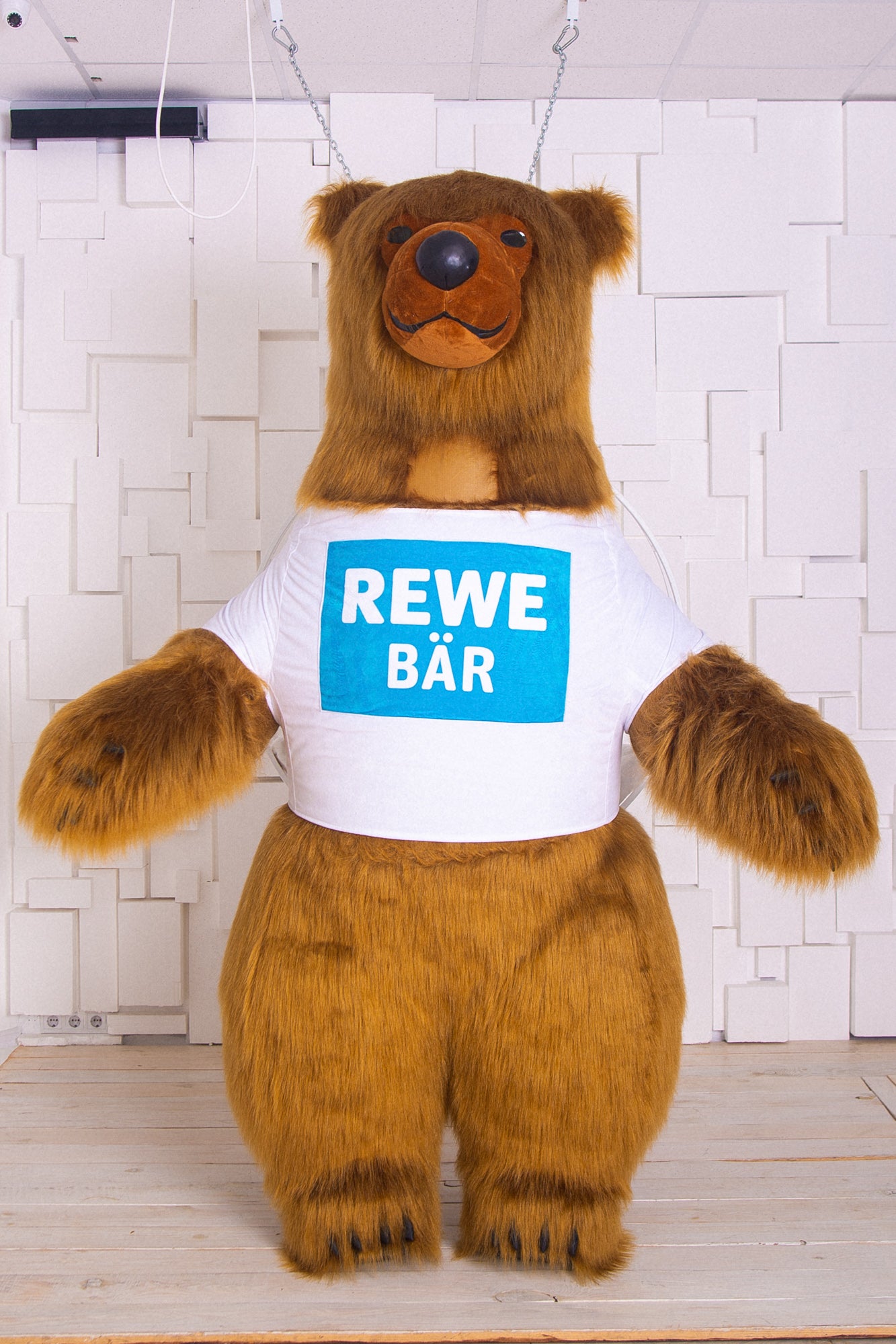 Inflatable Brown Bear Mascot