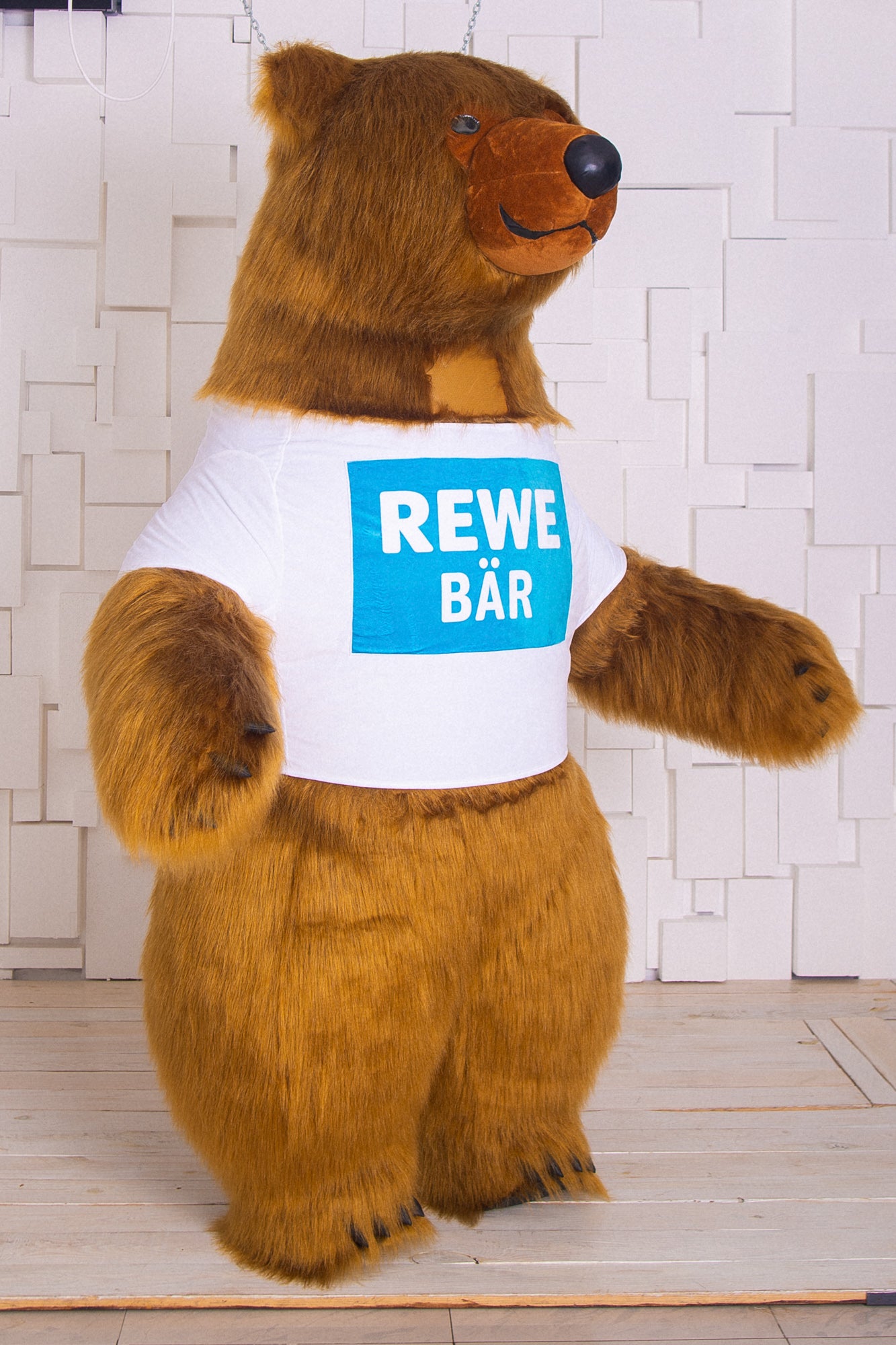 Inflatable Brown Bear Mascot