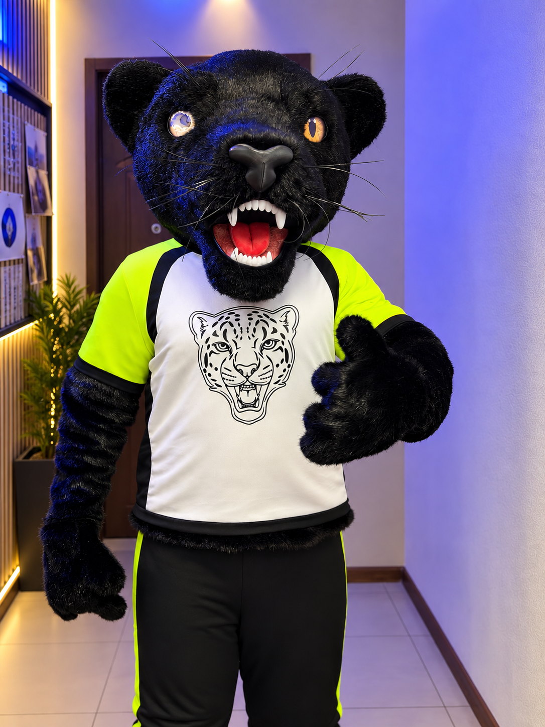 Black Panther Professional Mascot