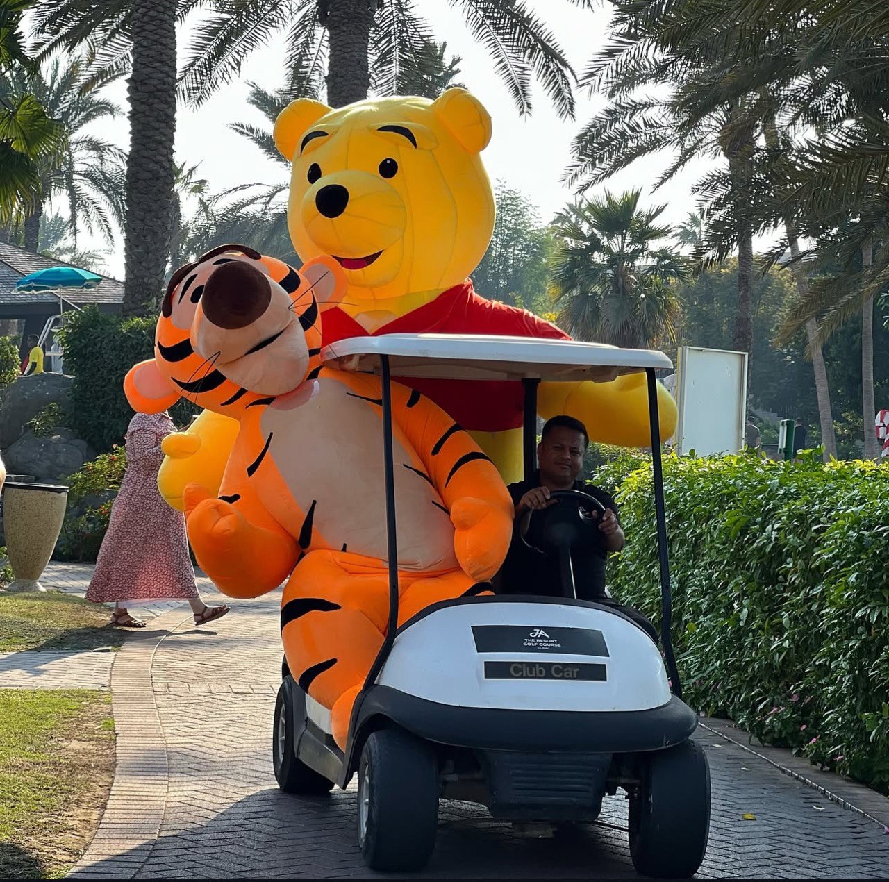 Inflatable Animal Tiger Mascot
