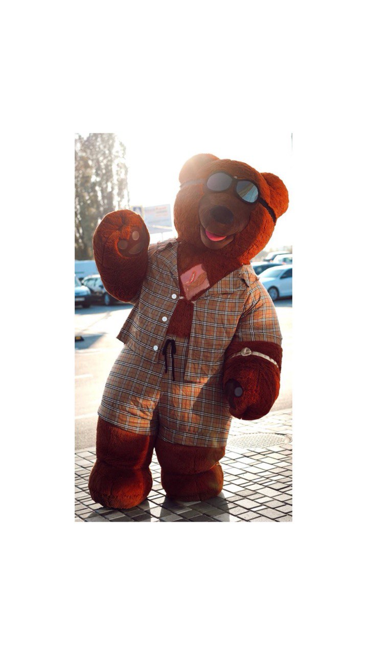 Inflatable Bear Mascot in a suit