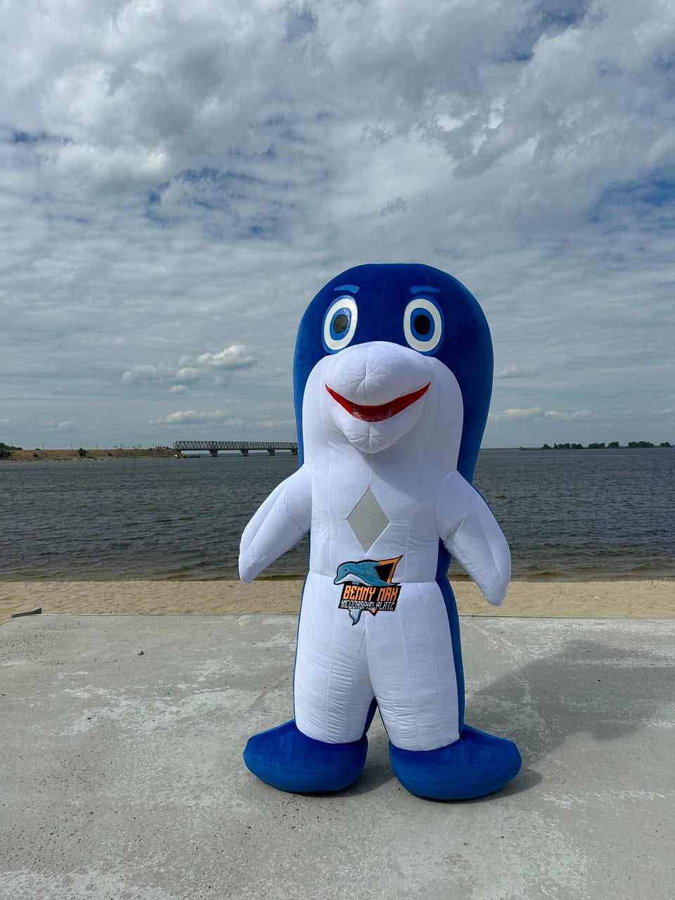 Inflatable Dolphin Fish Mascot