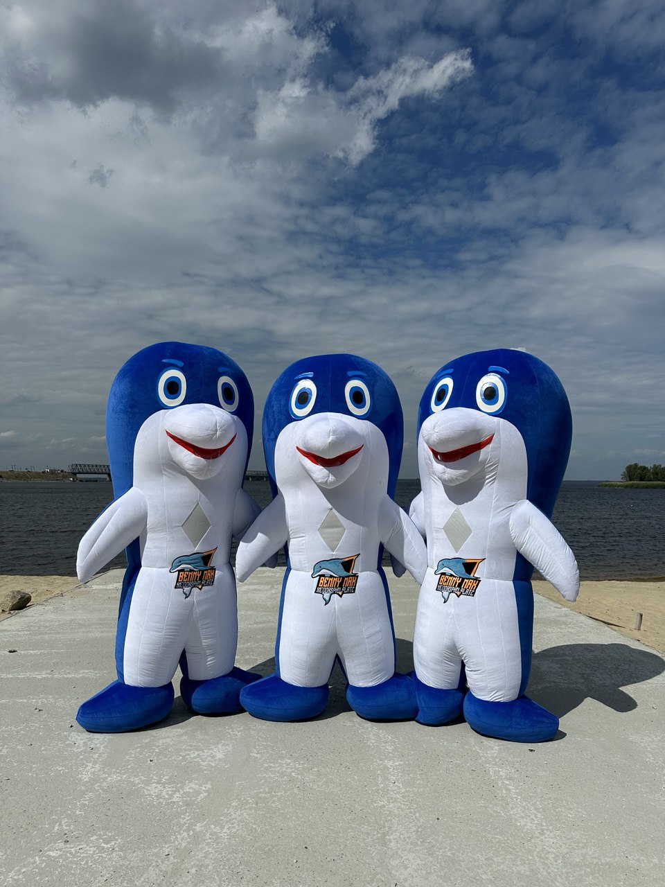 Inflatable Dolphin Fish Mascot