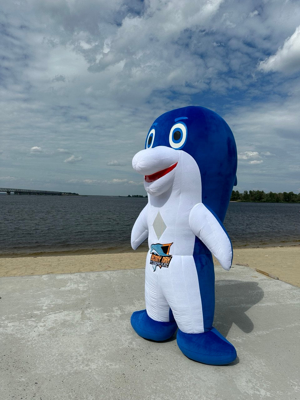Inflatable Dolphin Fish Mascot