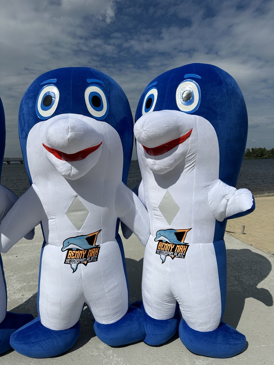 Inflatable Dolphin Fish Mascot