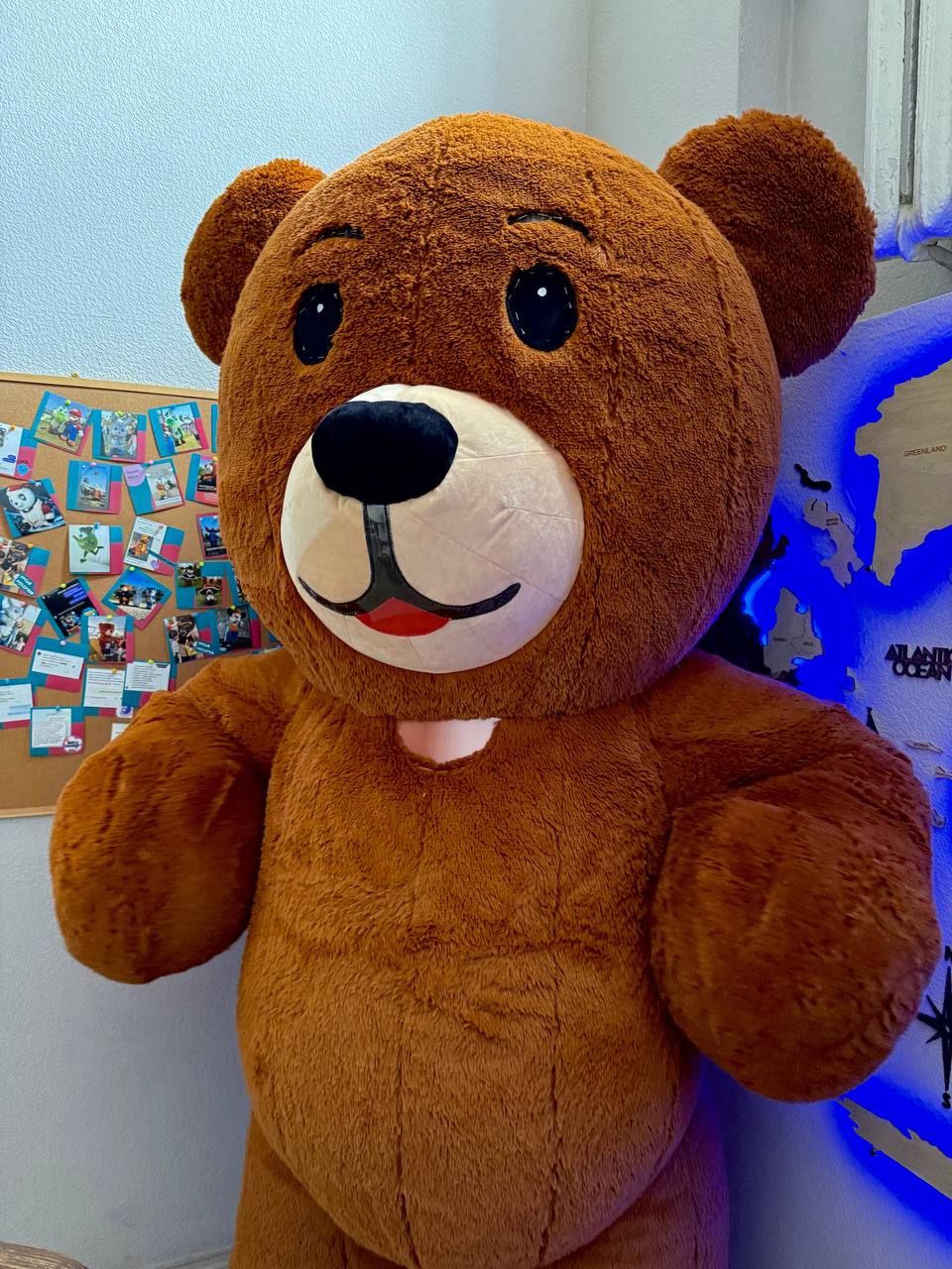 Inflatable Teddy Bear Mascot