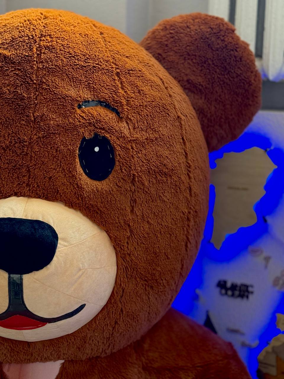 Inflatable Teddy Bear Mascot