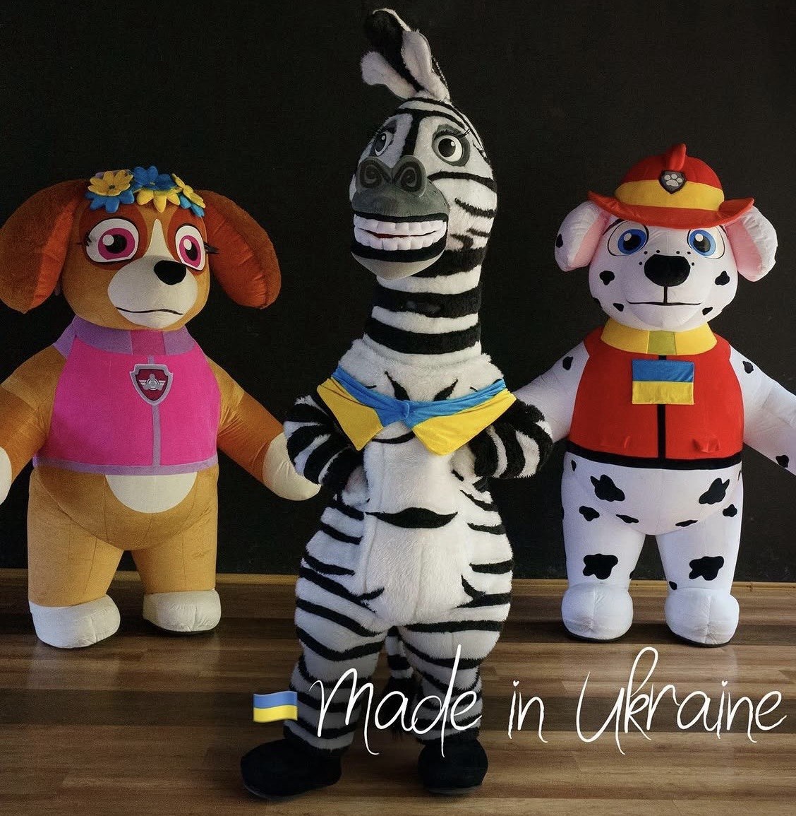Zebra Mascot Costume
