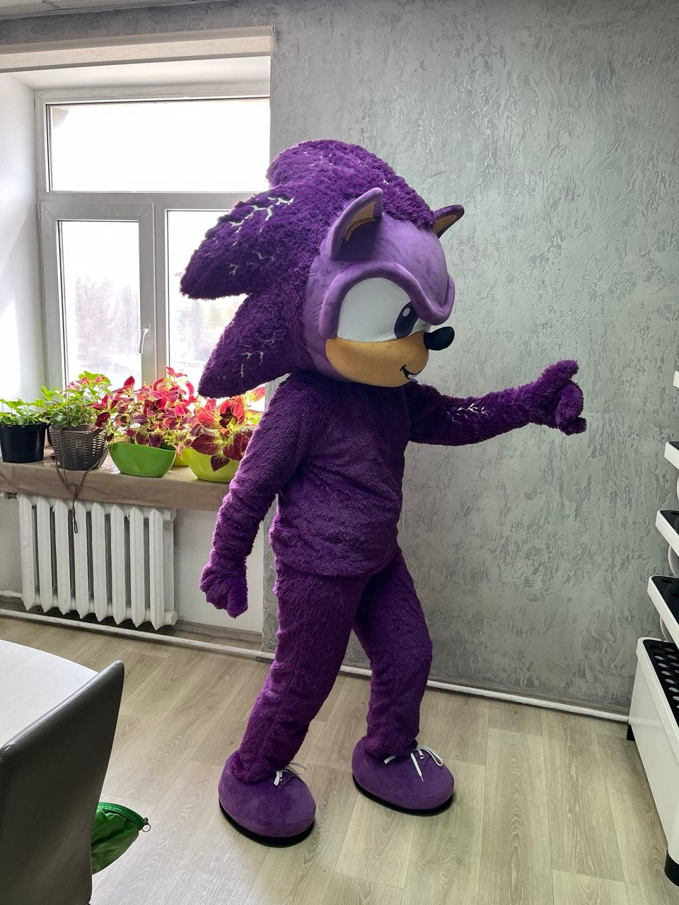 Hedgehog Mascot