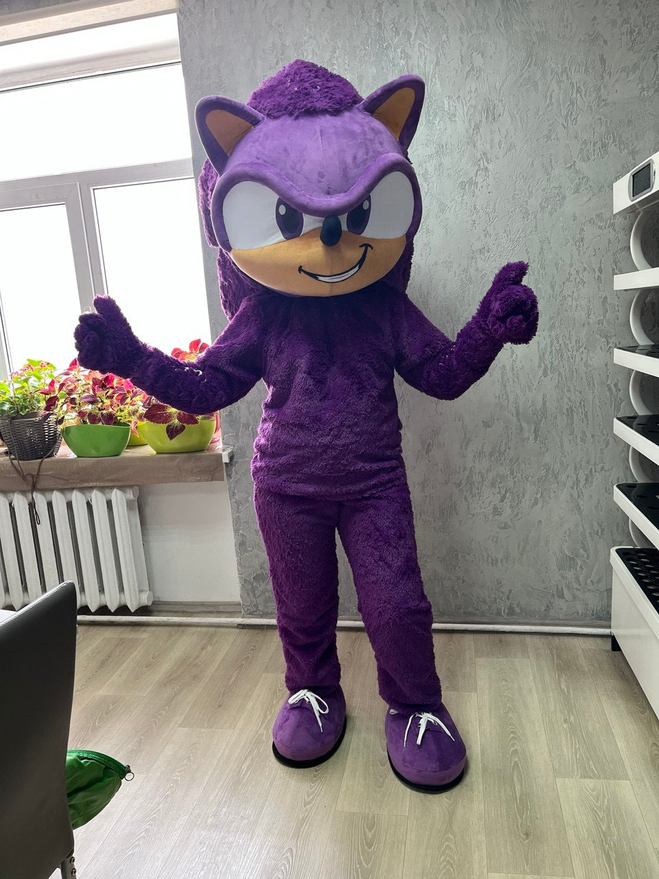 Hedgehog Mascot