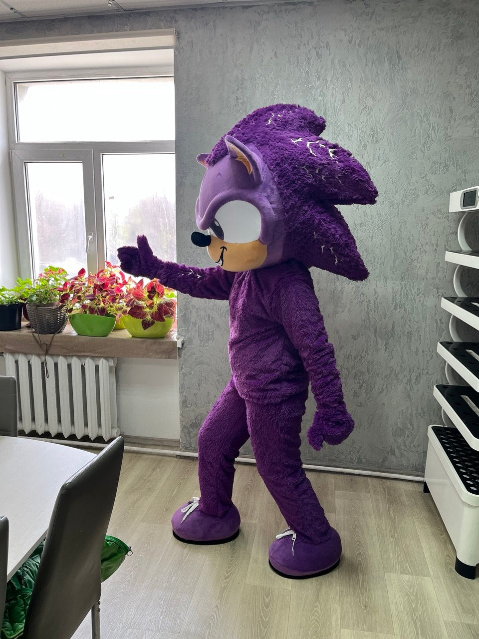Hedgehog Mascot