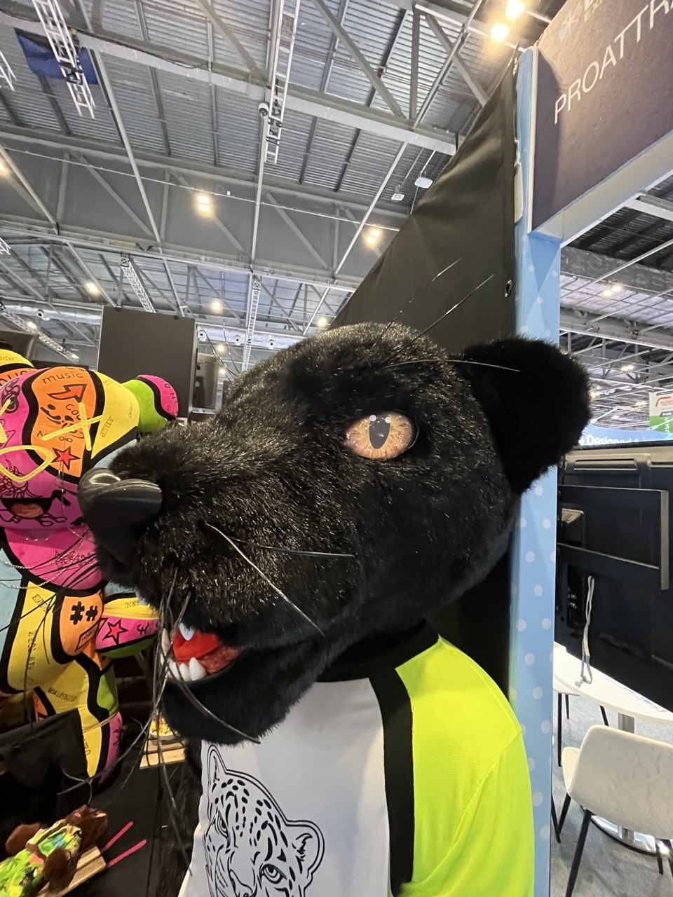Black Panther Professional Mascot