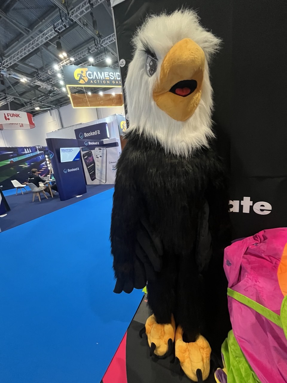 Eagle Mascot Costume