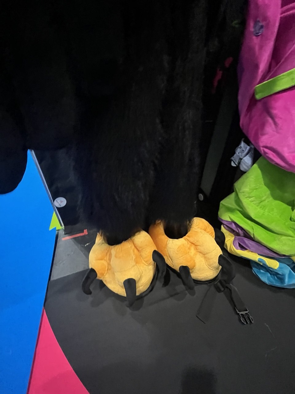 Eagle Mascot Costume