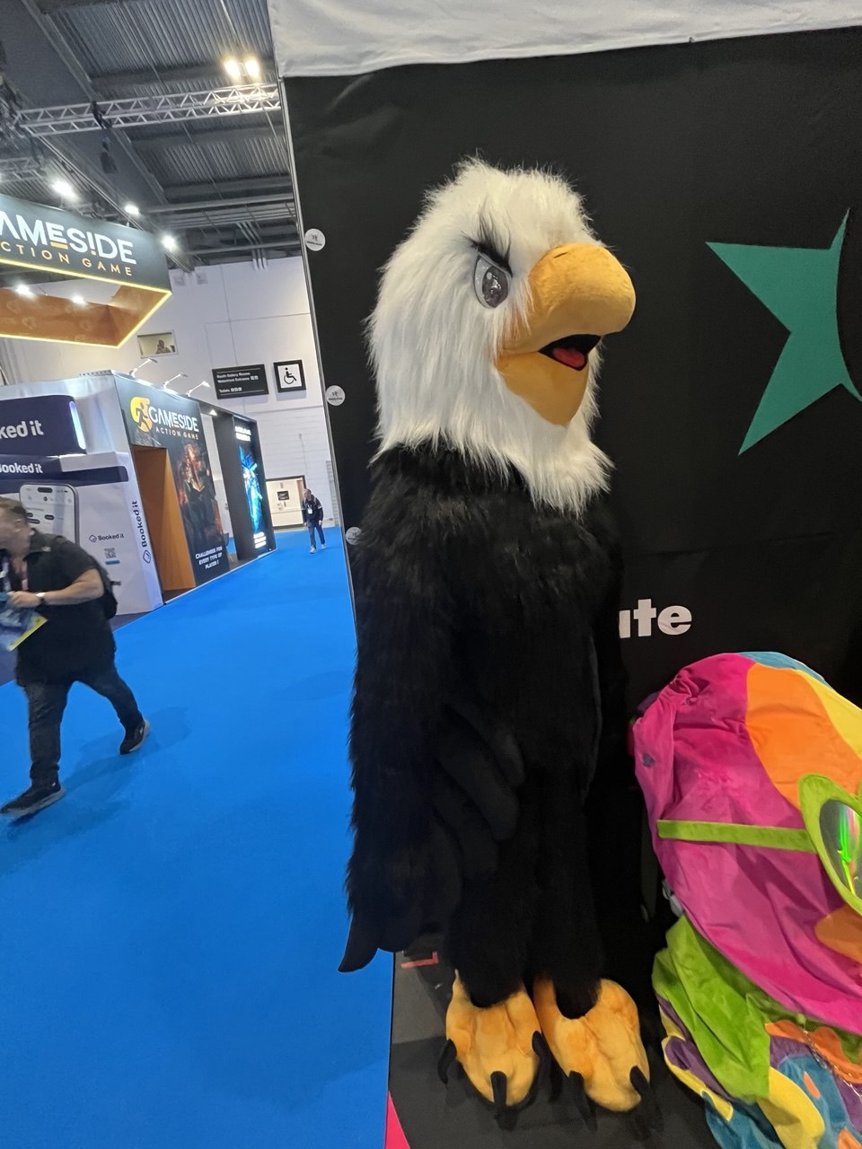 Eagle Mascot Costume