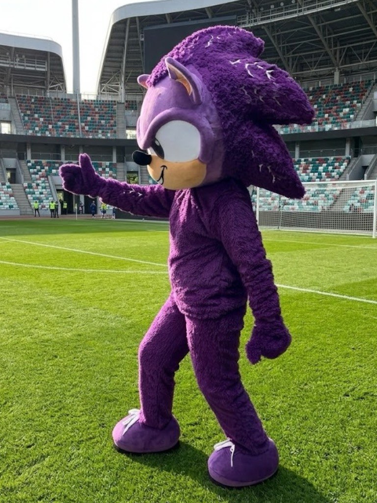 Hedgehog Mascot