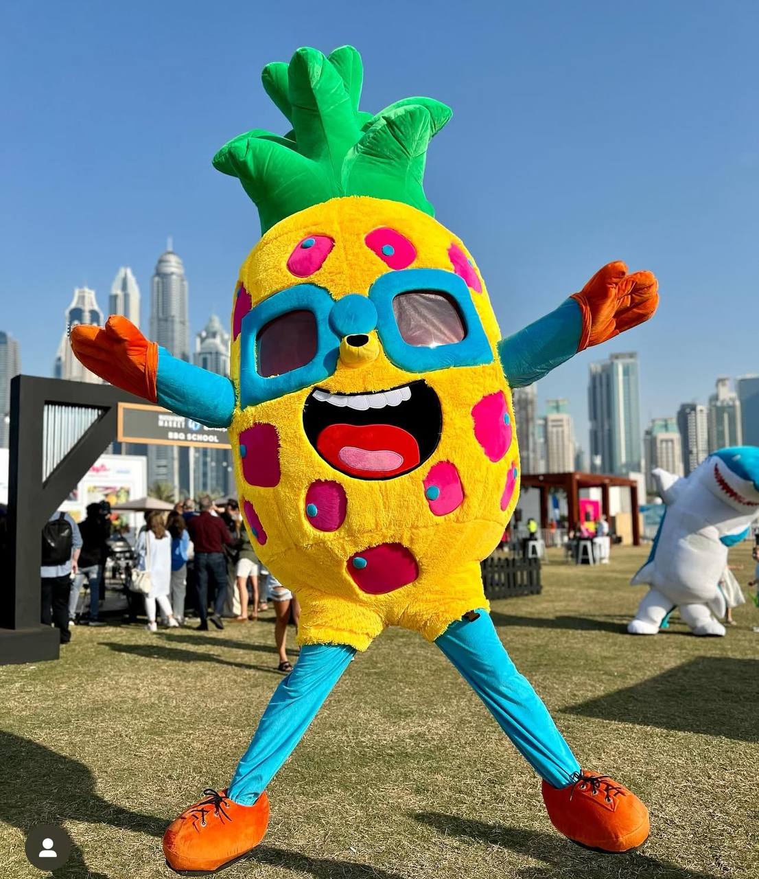 Inflatable Pineapple Mascot