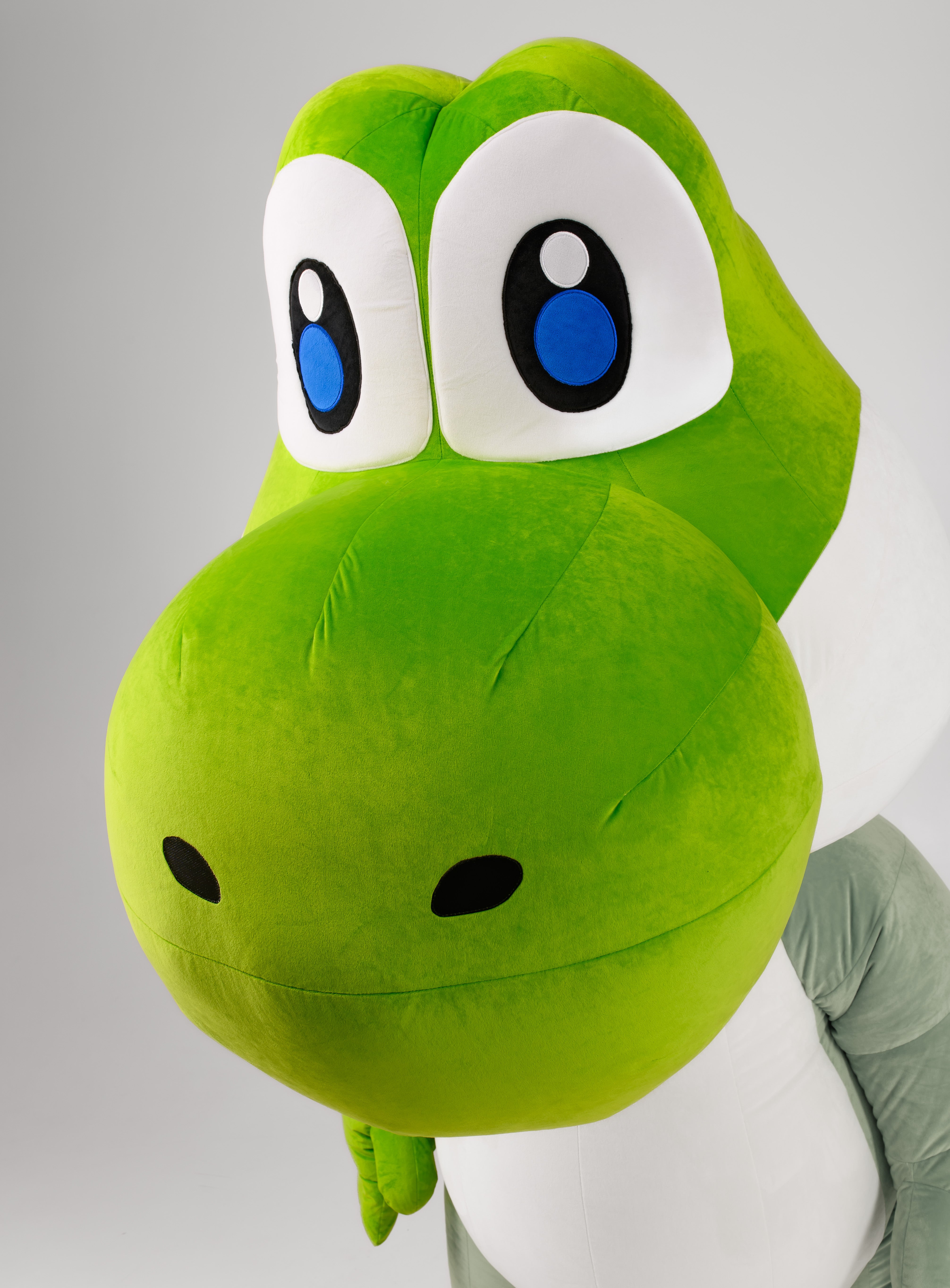 Inflatable Dinosaur Mascot