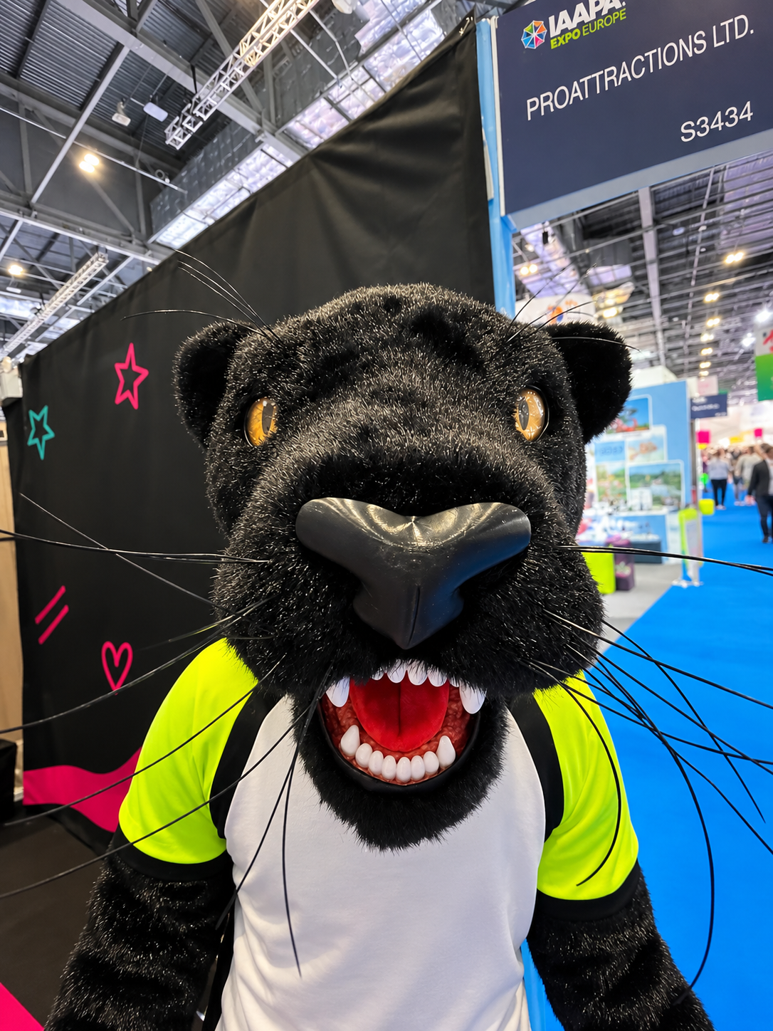 Black Panther Professional Mascot