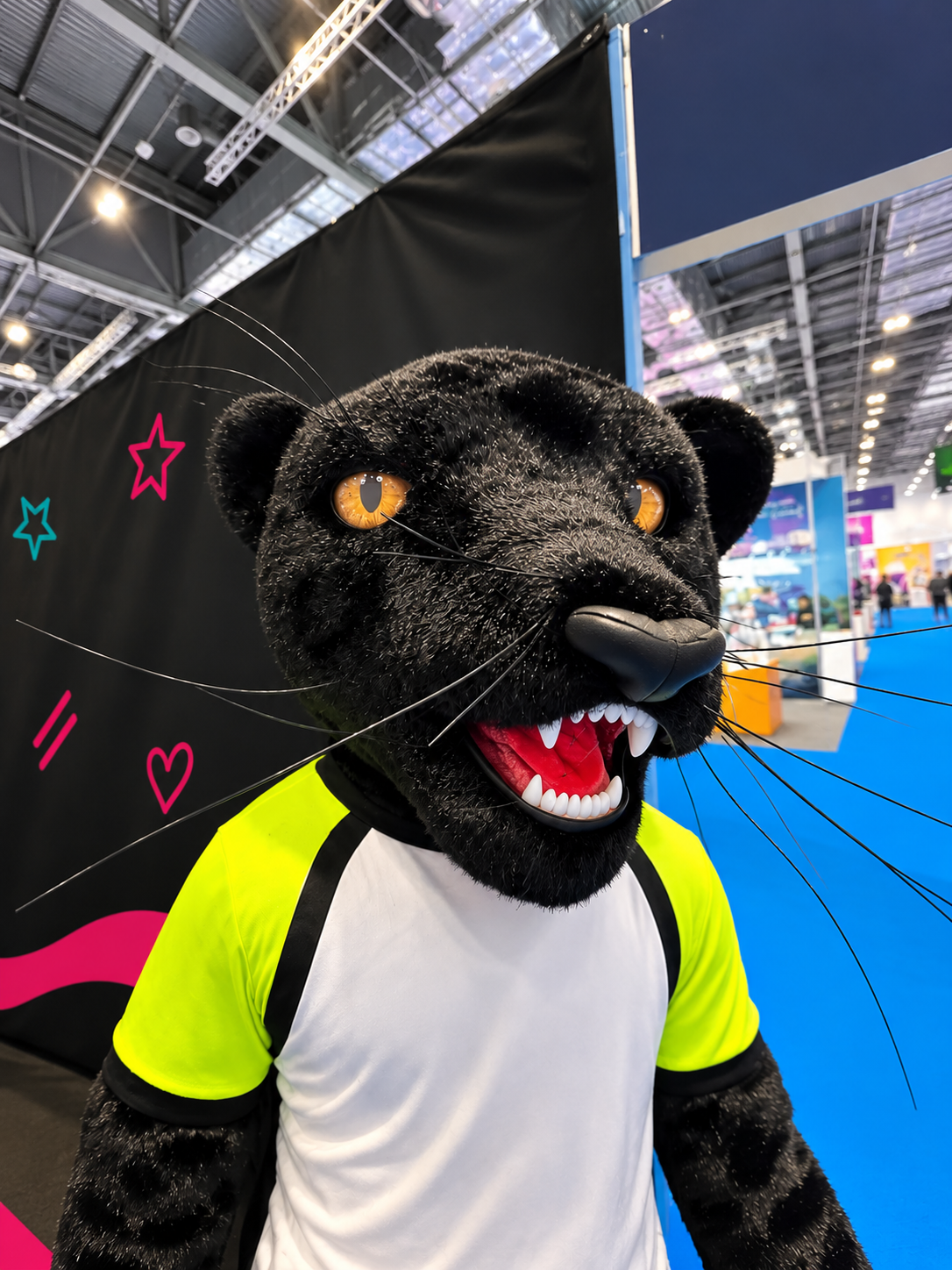 Black Panther Professional Mascot