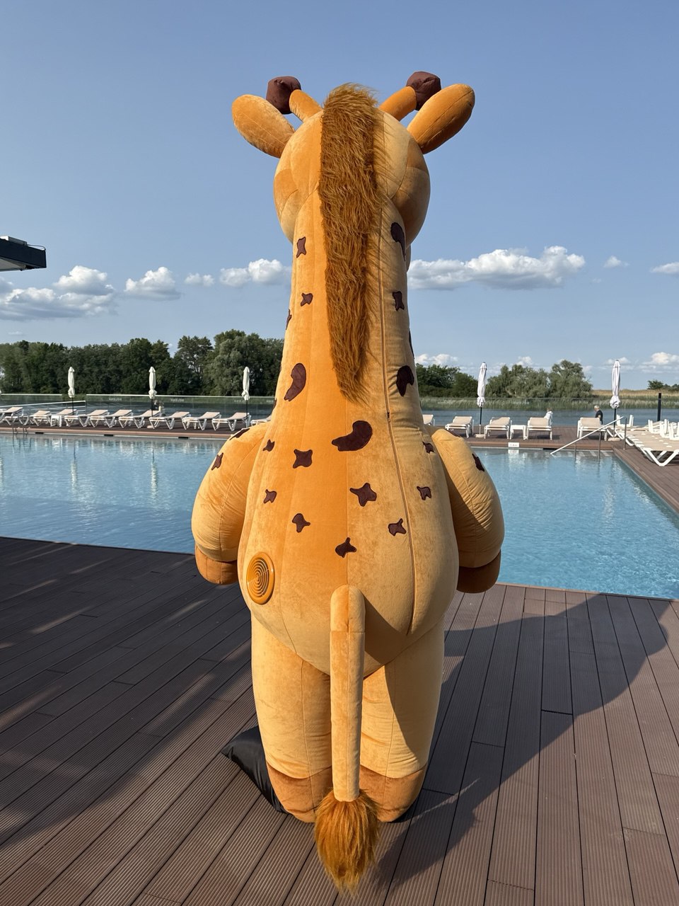 Inflatable Giraffe Mascot