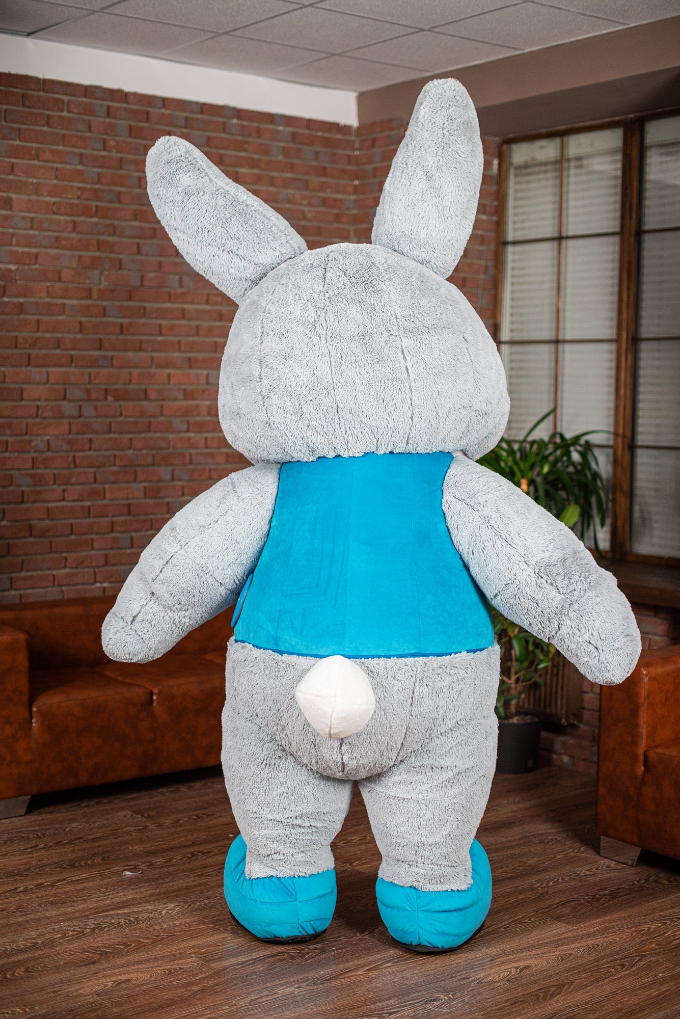 Inflatable Mr. Rabbit Mascot Costume