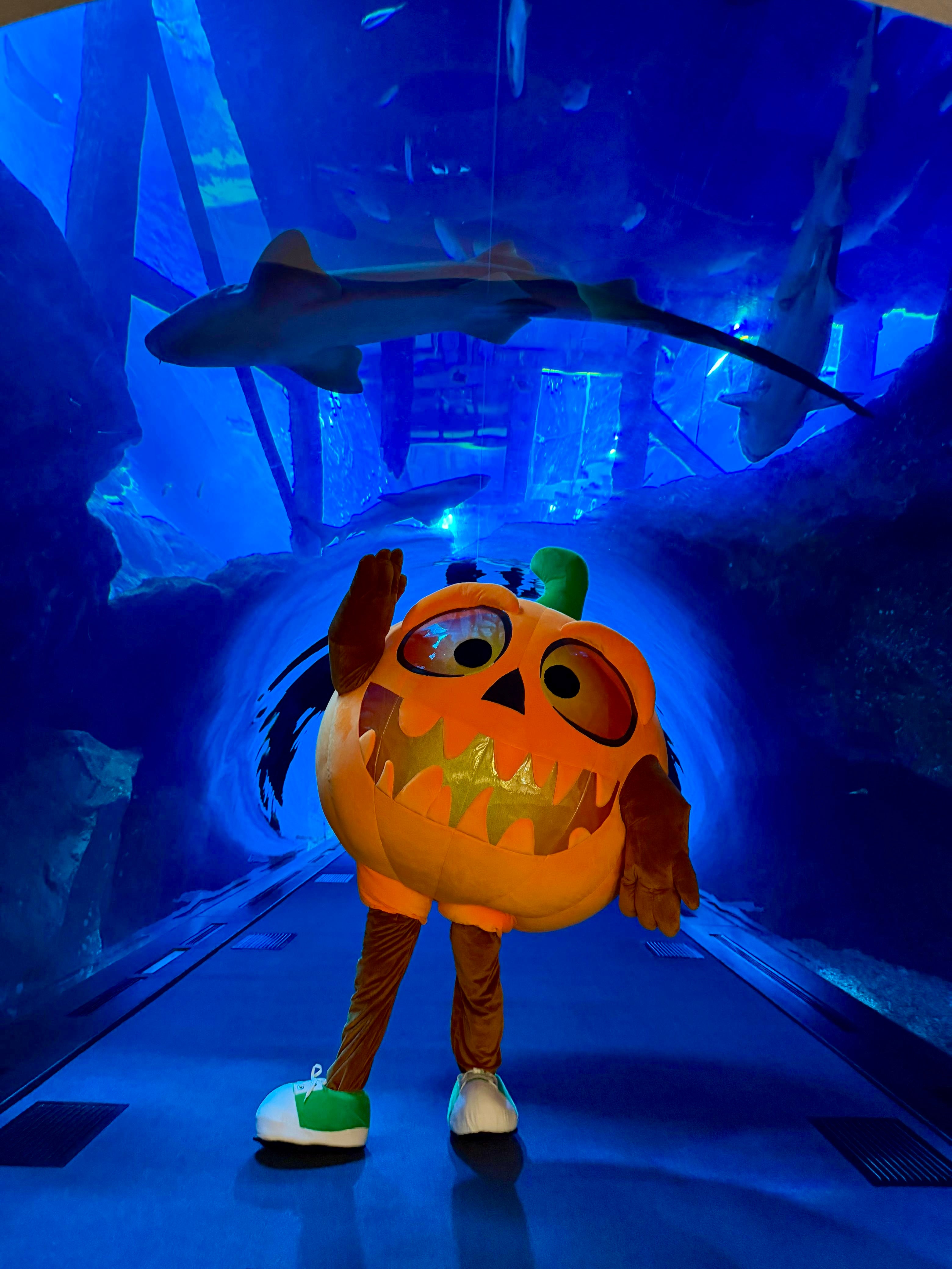 Inflatable Halloween Pumpkin Mascot