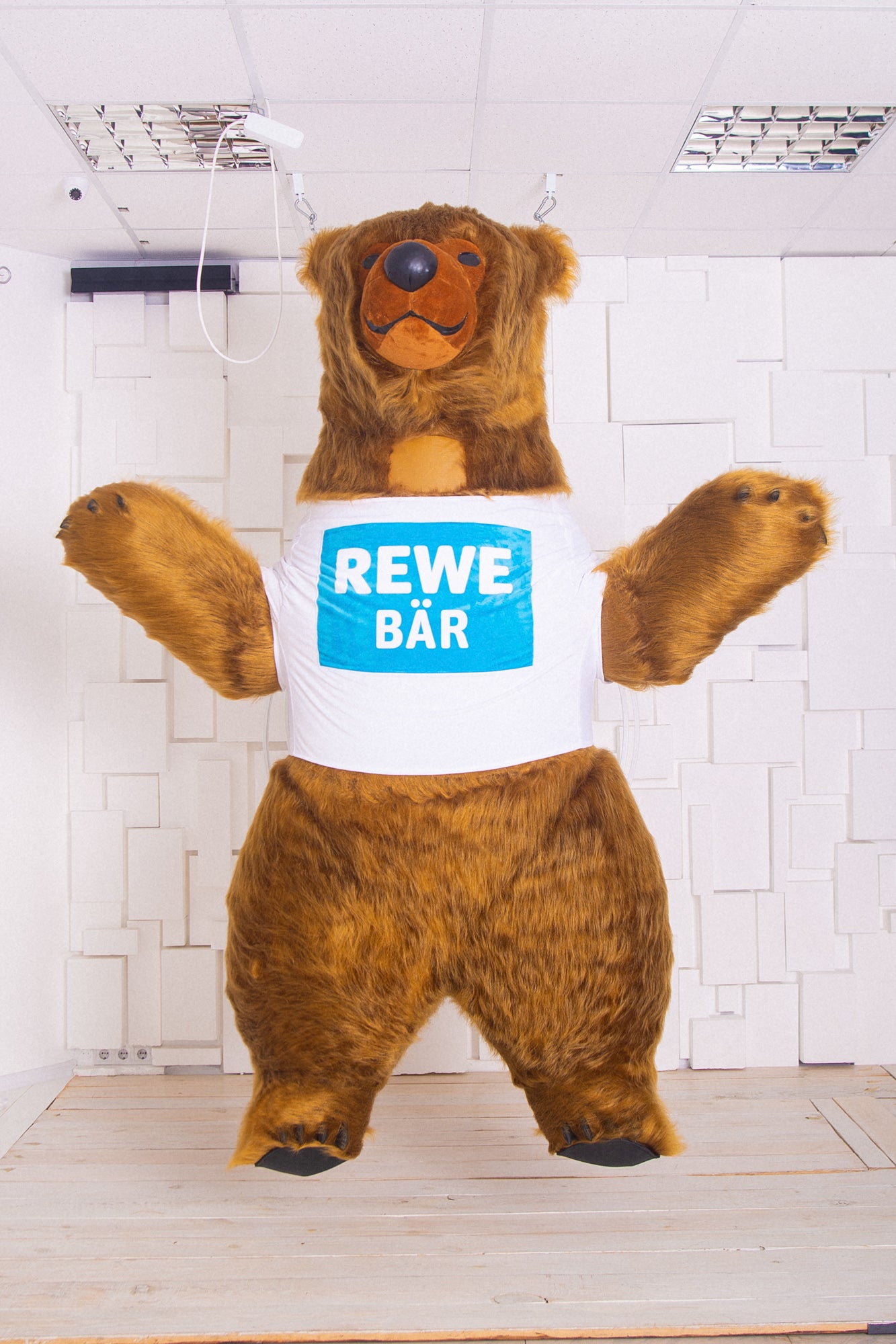 Inflatable Brown Bear Mascot