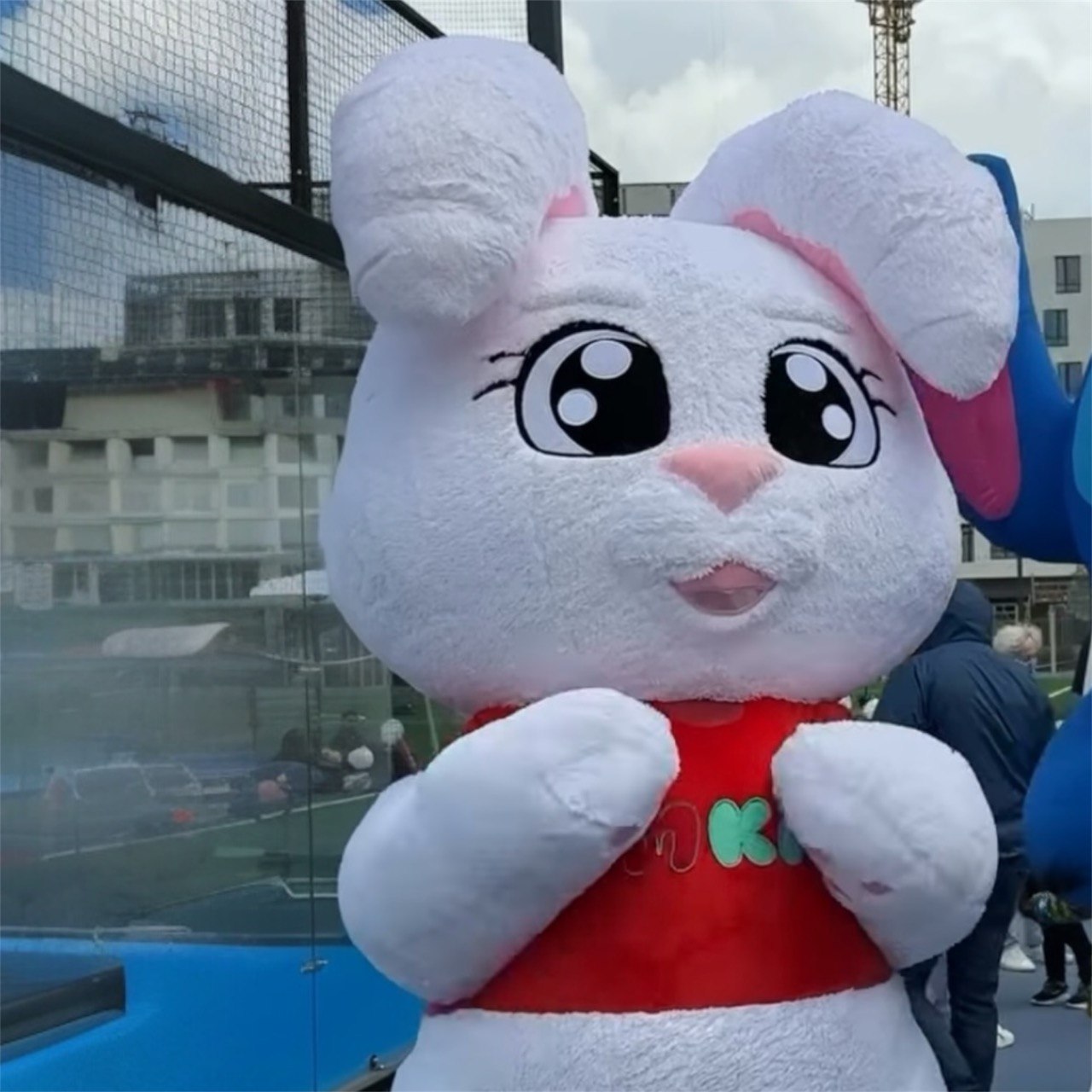 Inflatable White Rabbit Mascot Costume