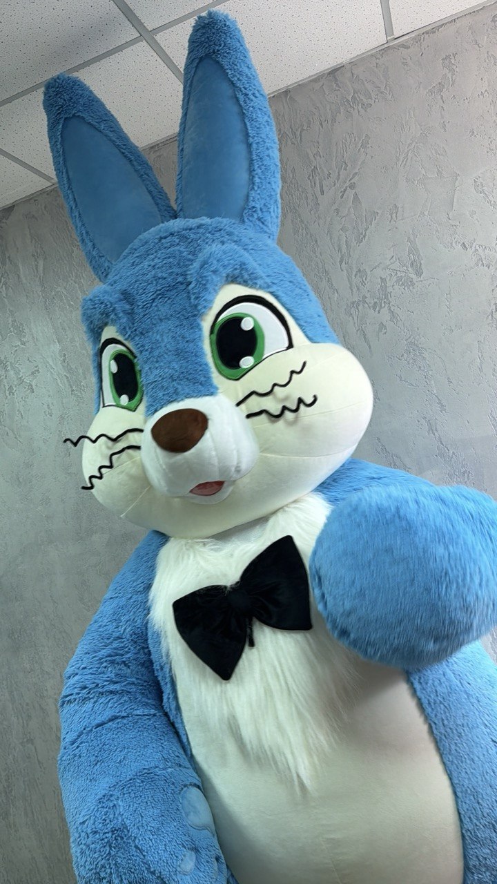 Inflatable Blue Rabbit Mascot Costume