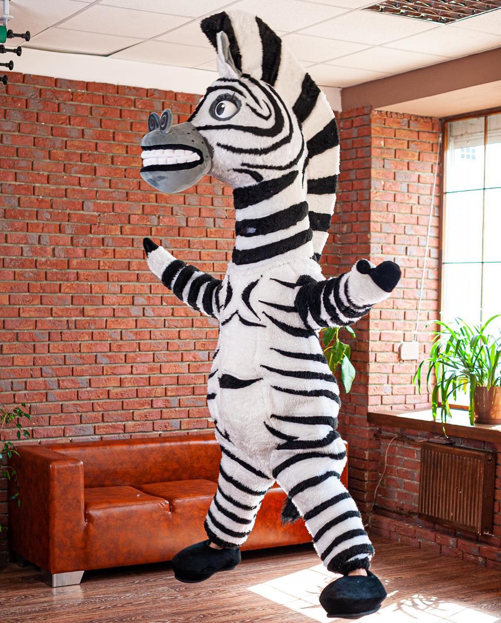 Zebra Mascot Costume