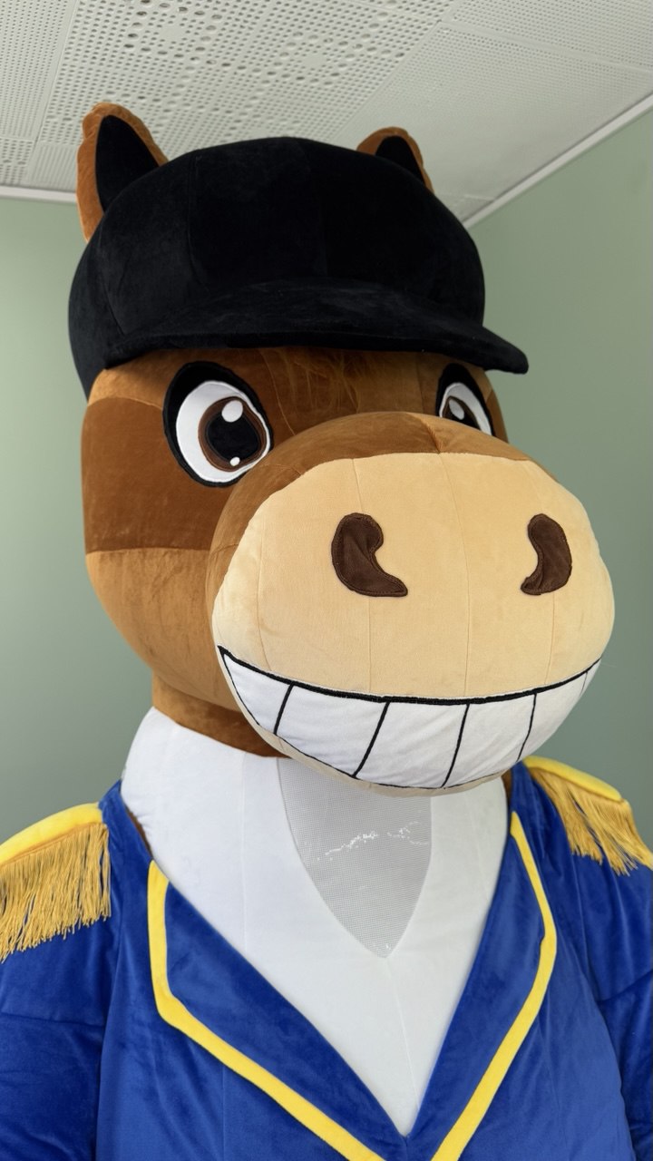 Inflatable Horse Mascot with plush suit