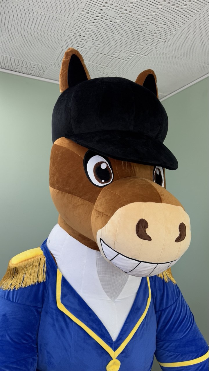 Inflatable Horse Mascot with plush suit