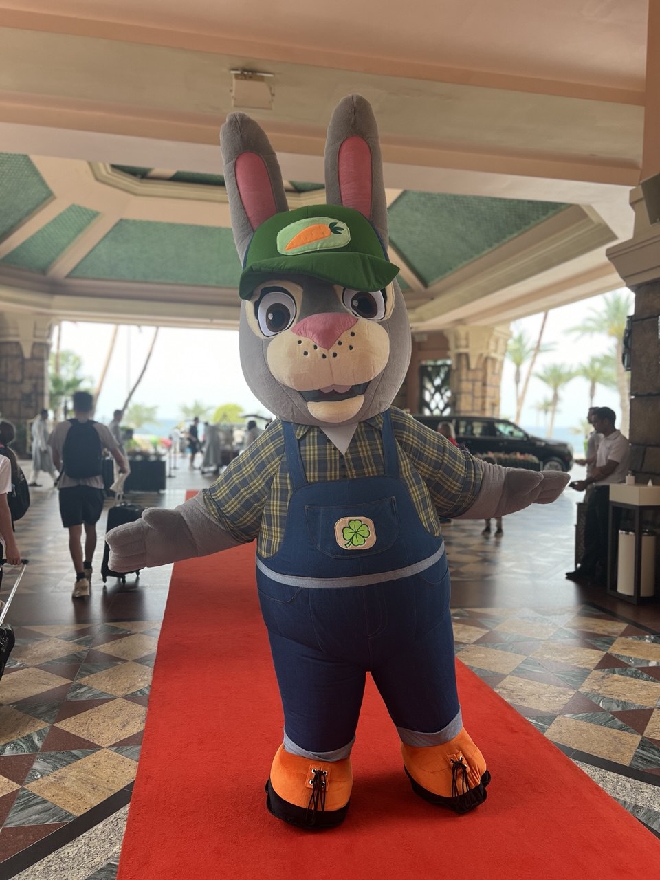 Inflatable Rabbit The Farmer Mascot Costume