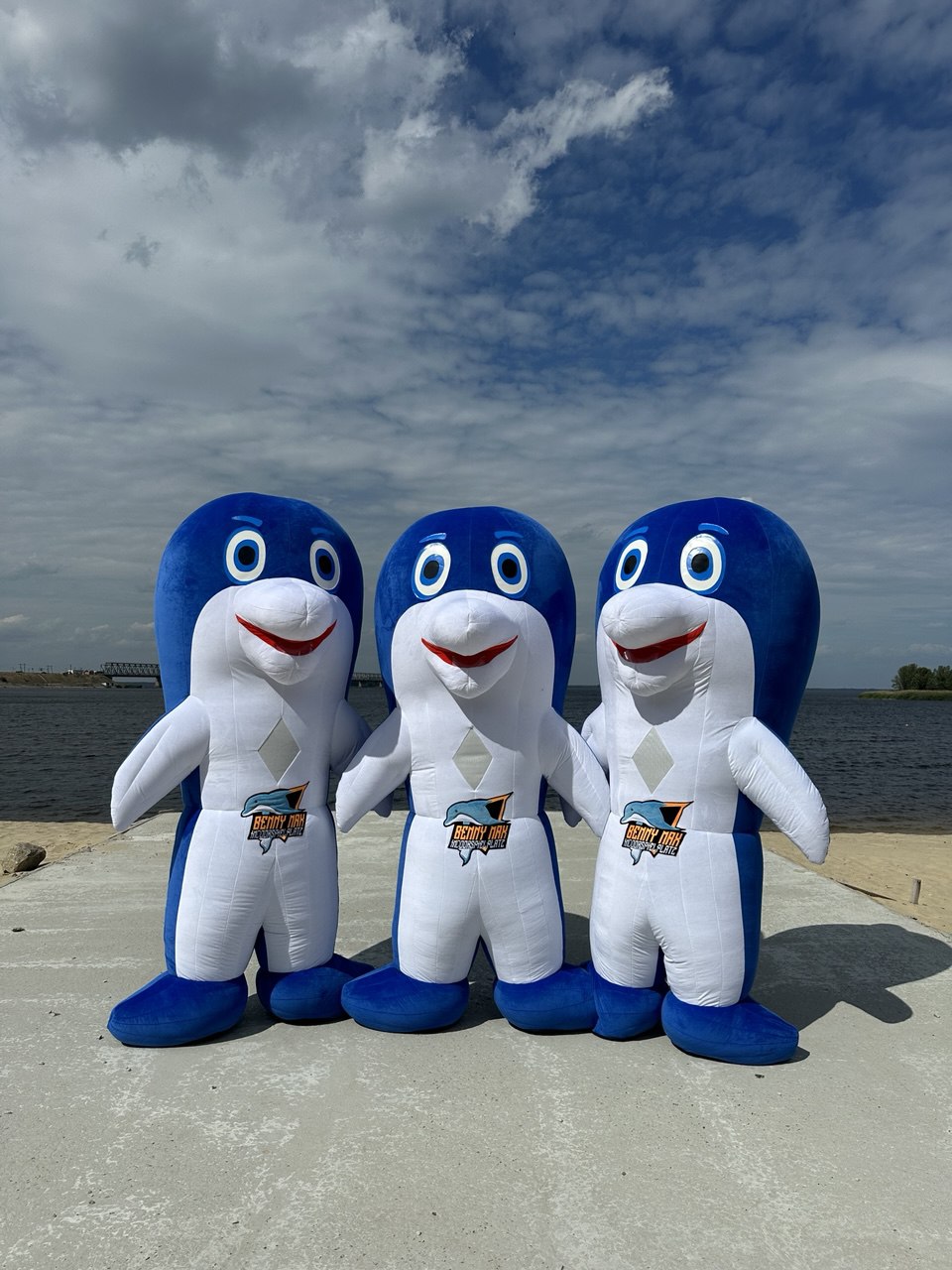 Inflatable Dolphin Fish Mascot