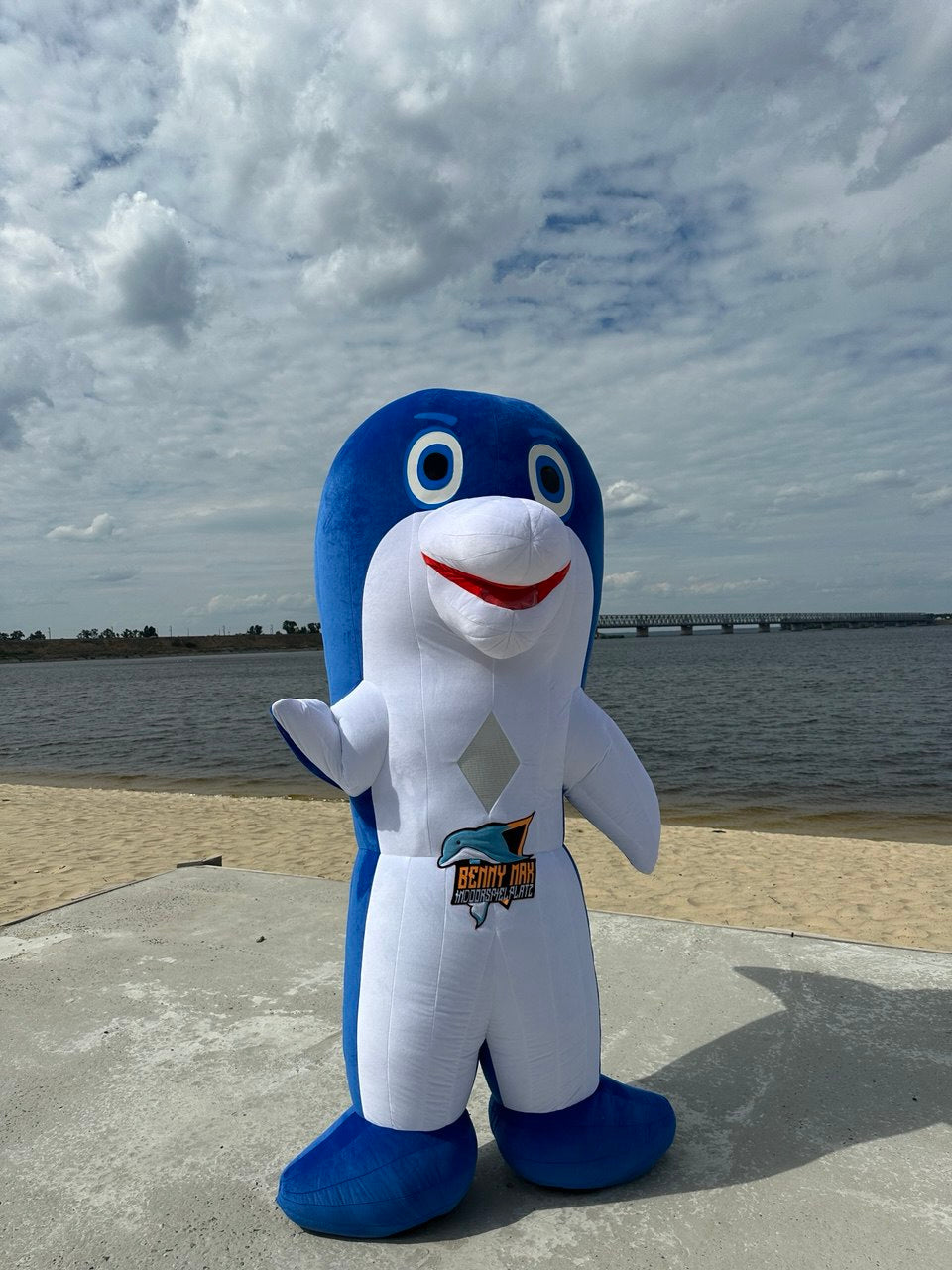 Inflatable Dolphin Fish Mascot