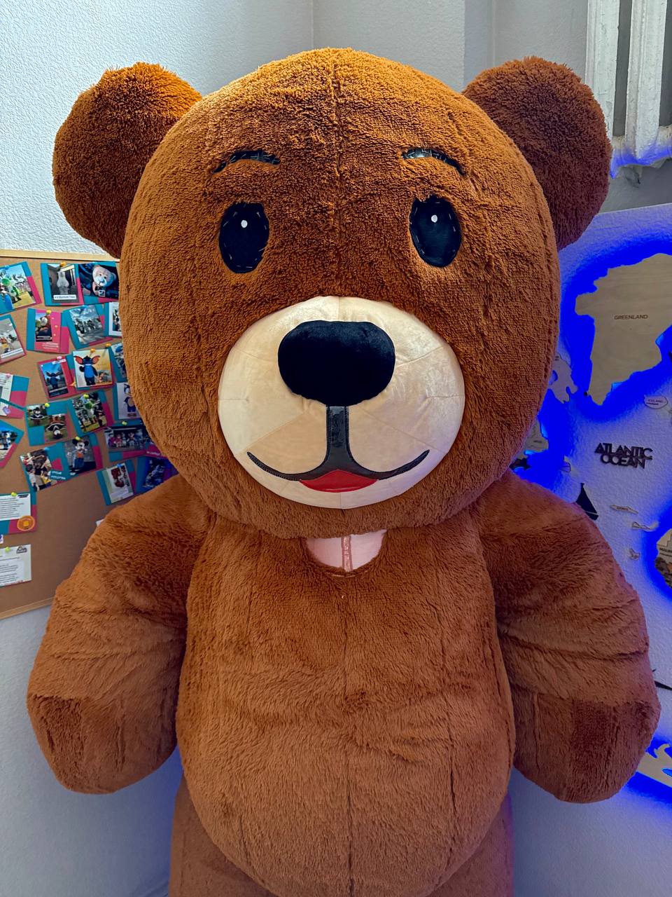 Inflatable Teddy Bear Mascot