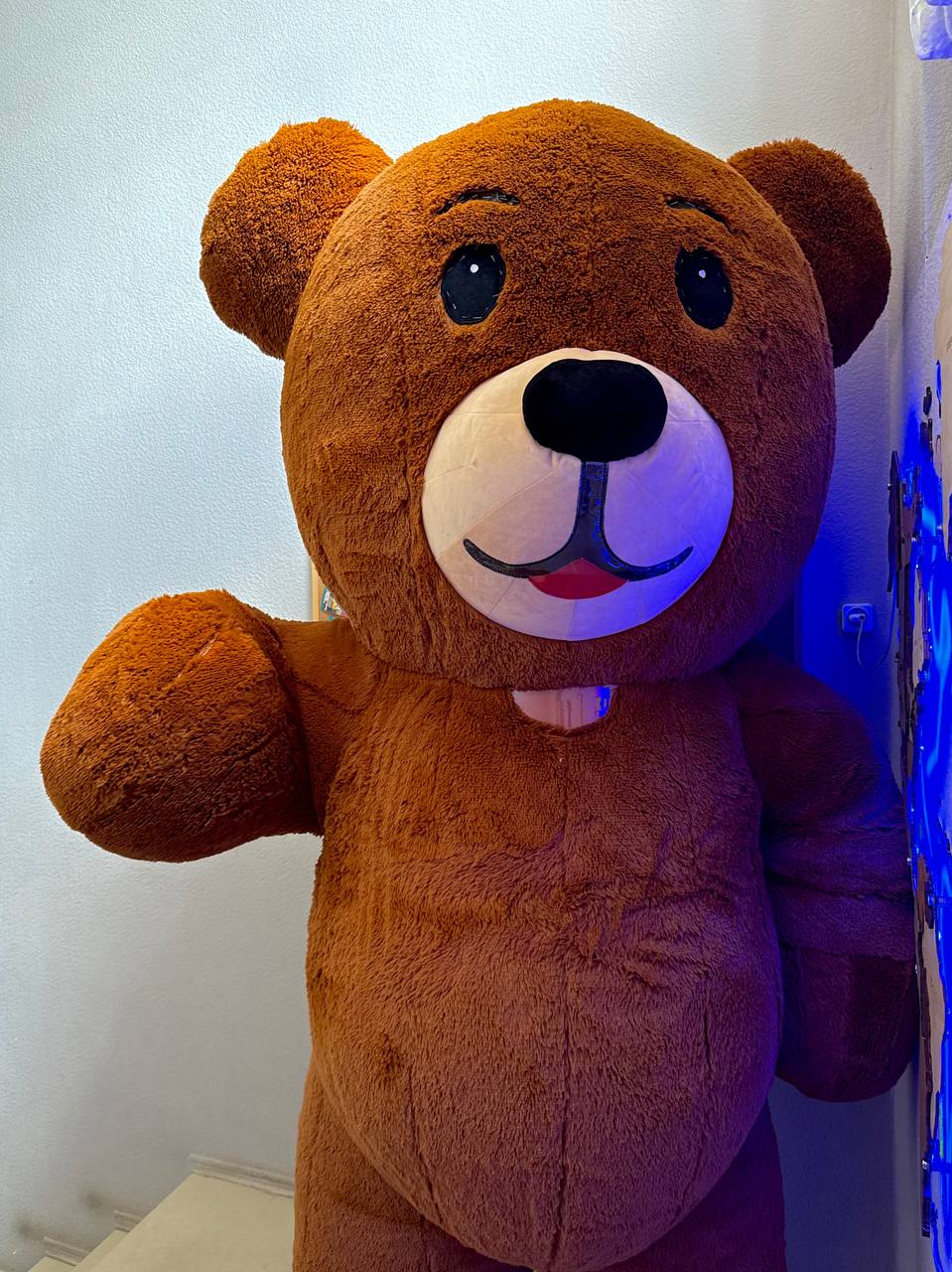 Inflatable Teddy Bear Mascot