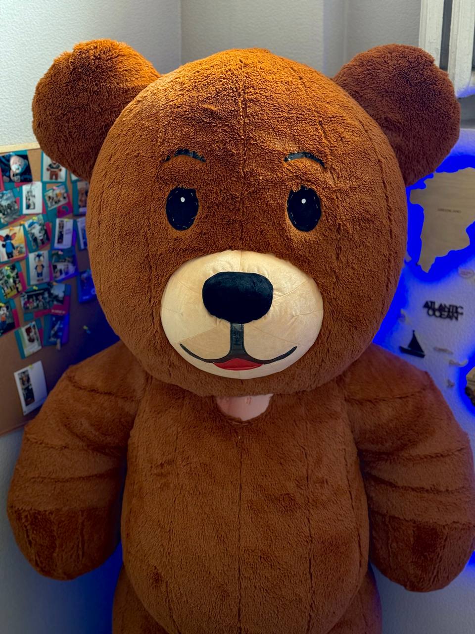 Inflatable Teddy Bear Mascot