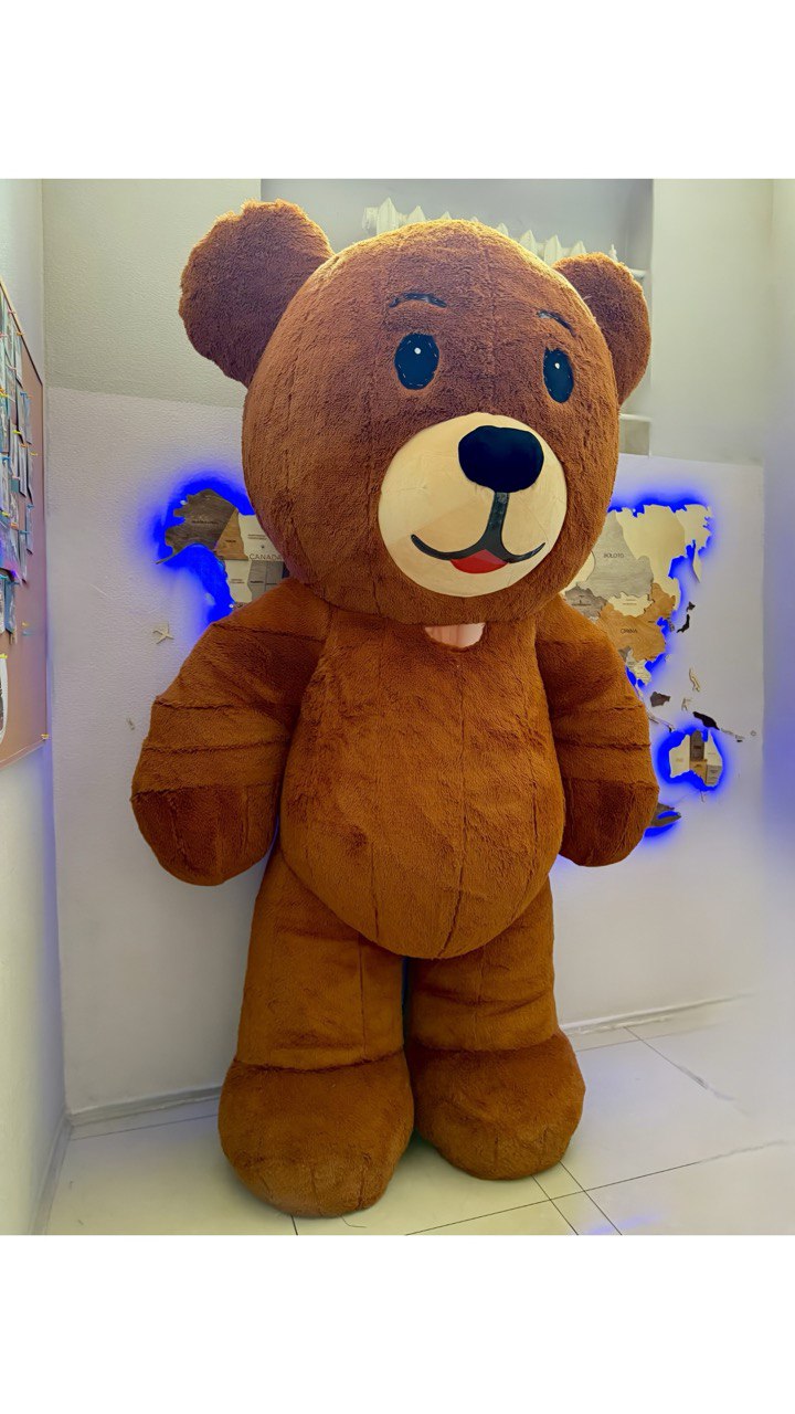 Inflatable Teddy Bear Mascot