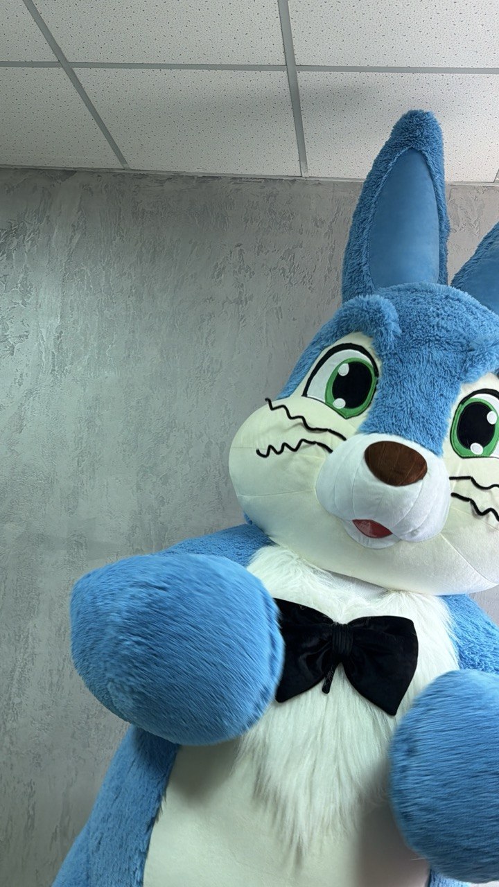 Inflatable Blue Rabbit Mascot Costume